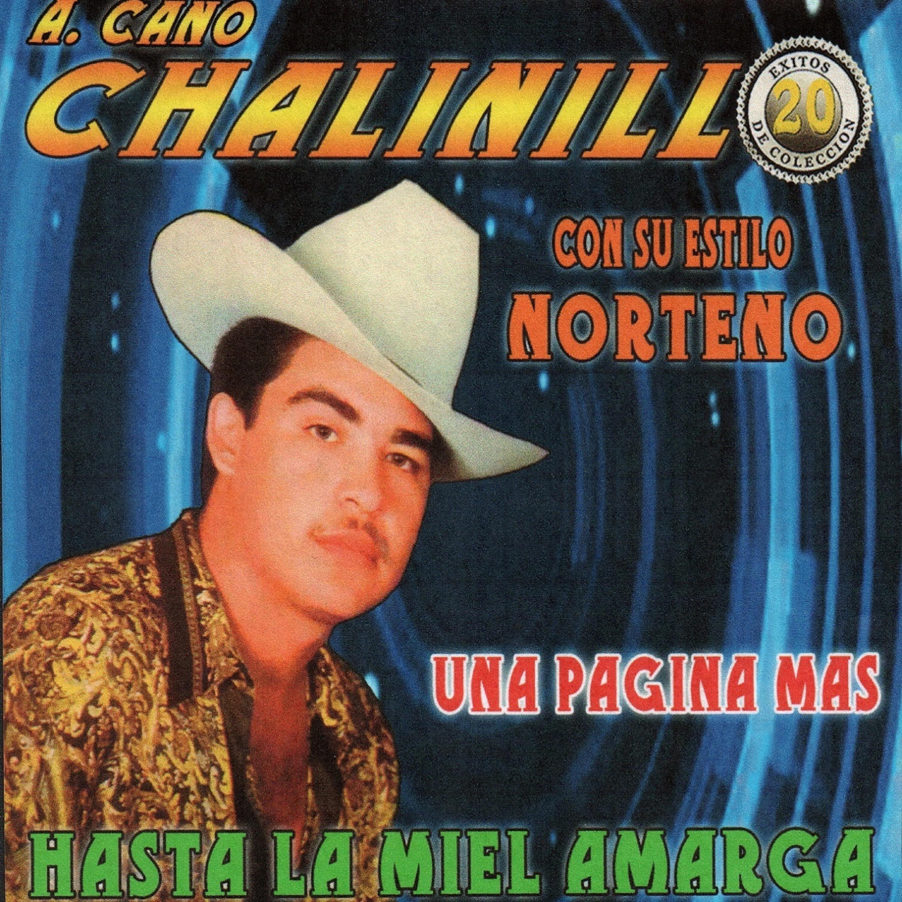 Релиз Con Su Estilo Norteño