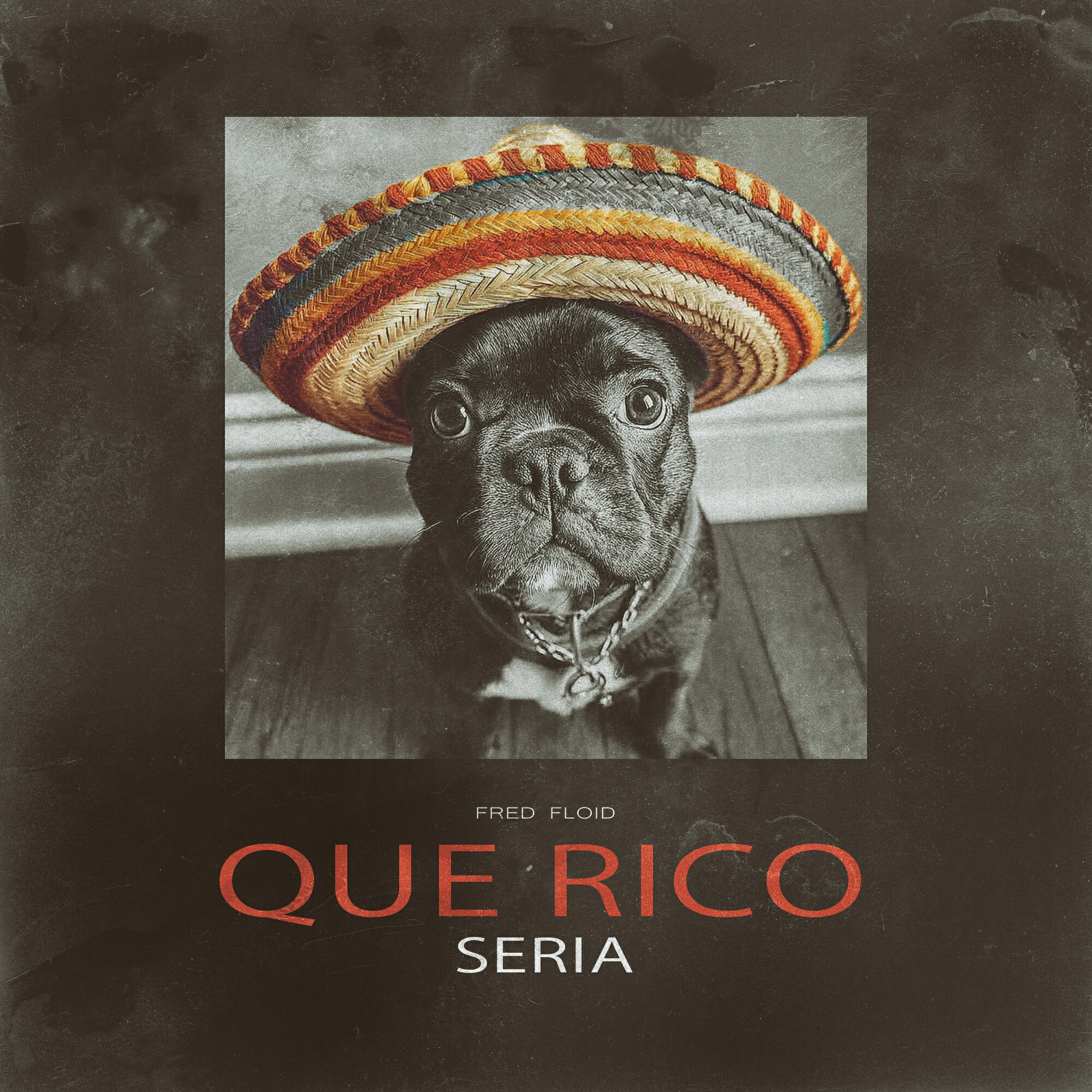 Релиз Que Rico Seria