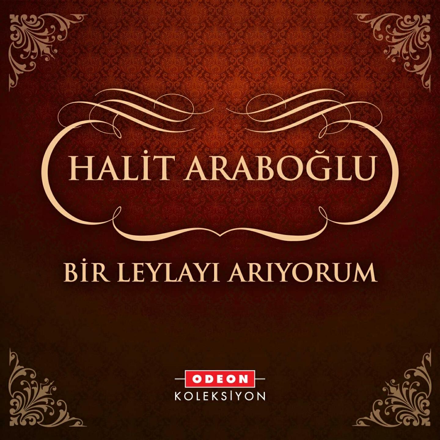 Релиз Bir Leylayı Arıyorum