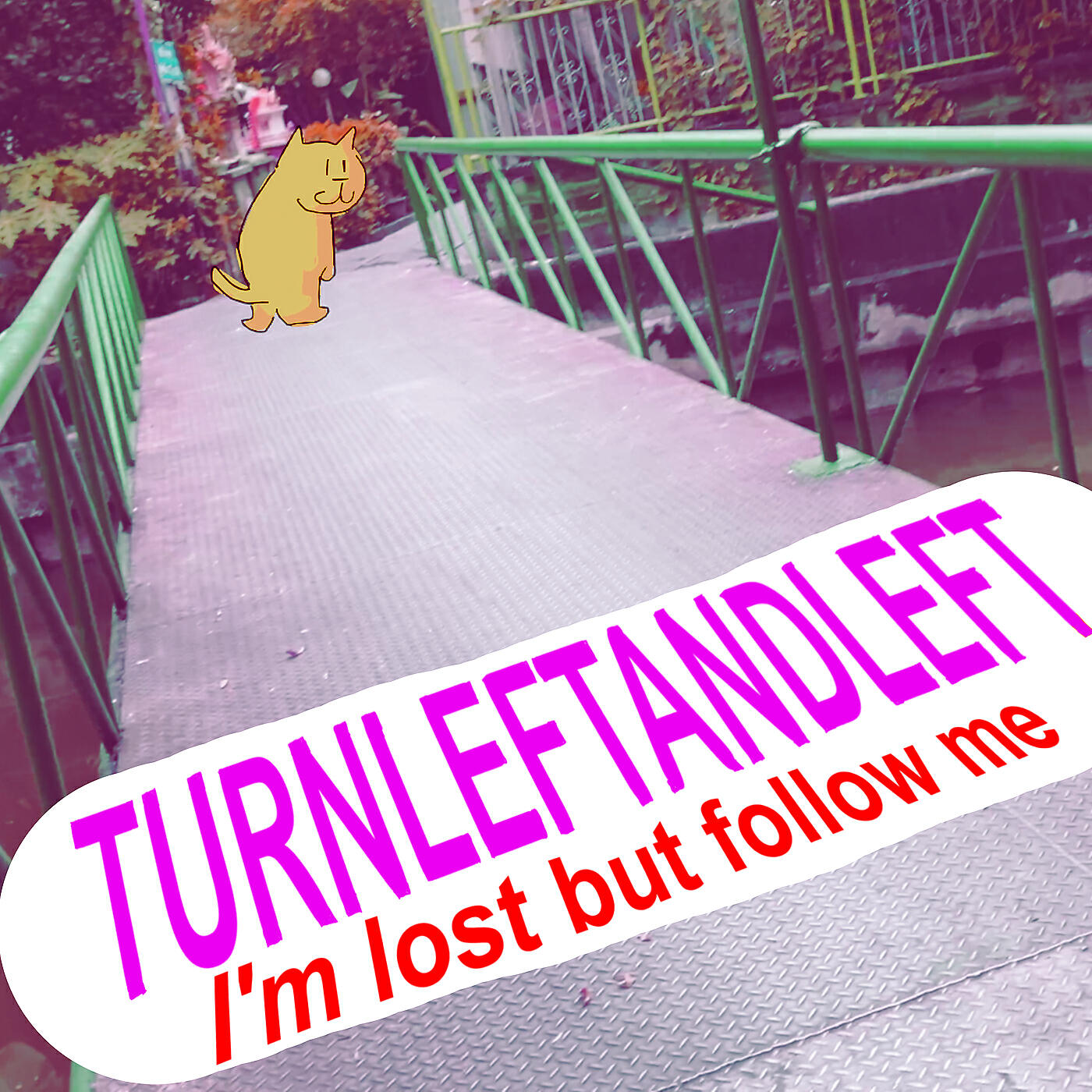 Релиз I'm Lost but Follow Me