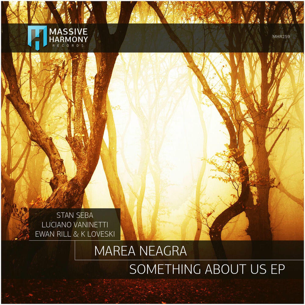 Релиз Something About Us