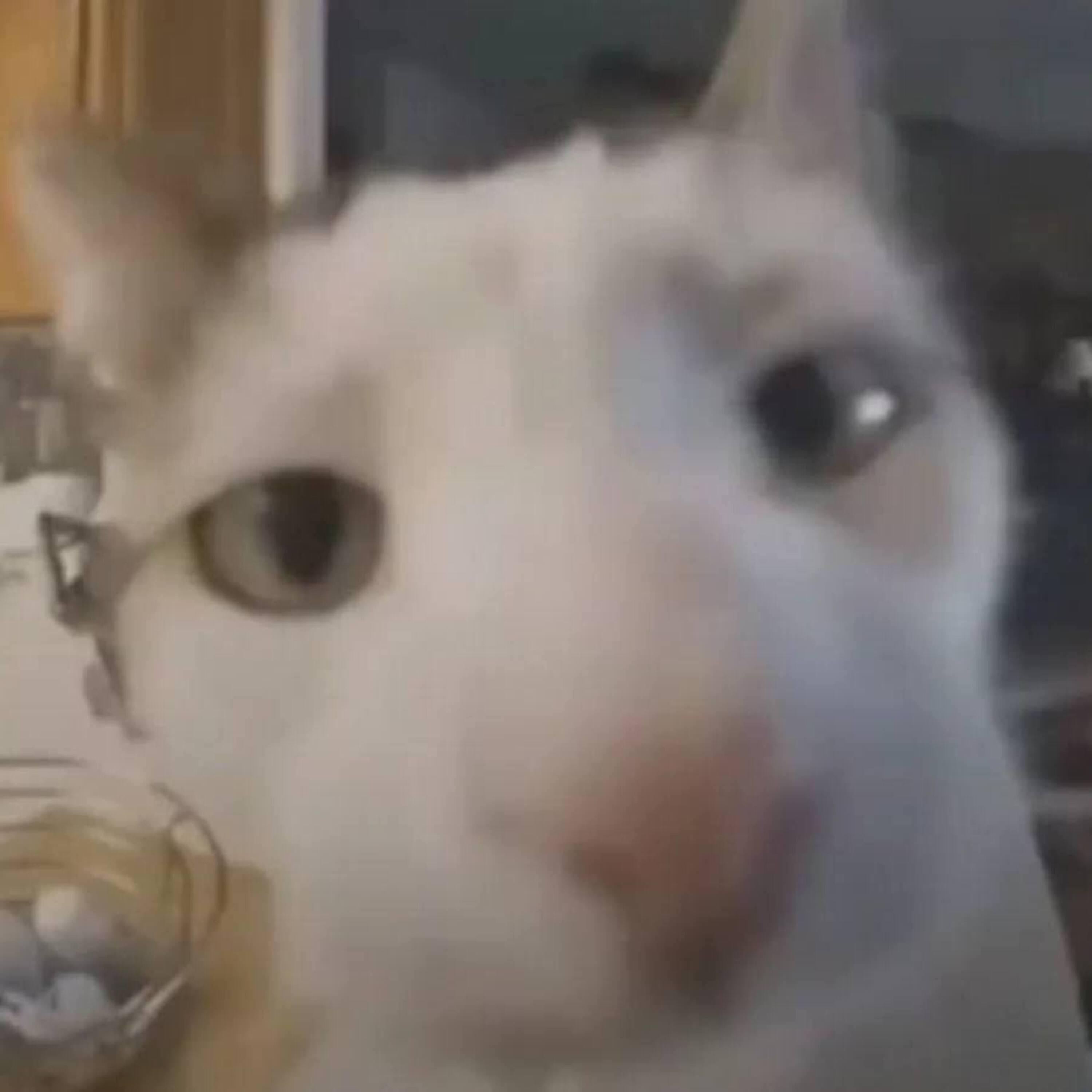 PH4RFOR