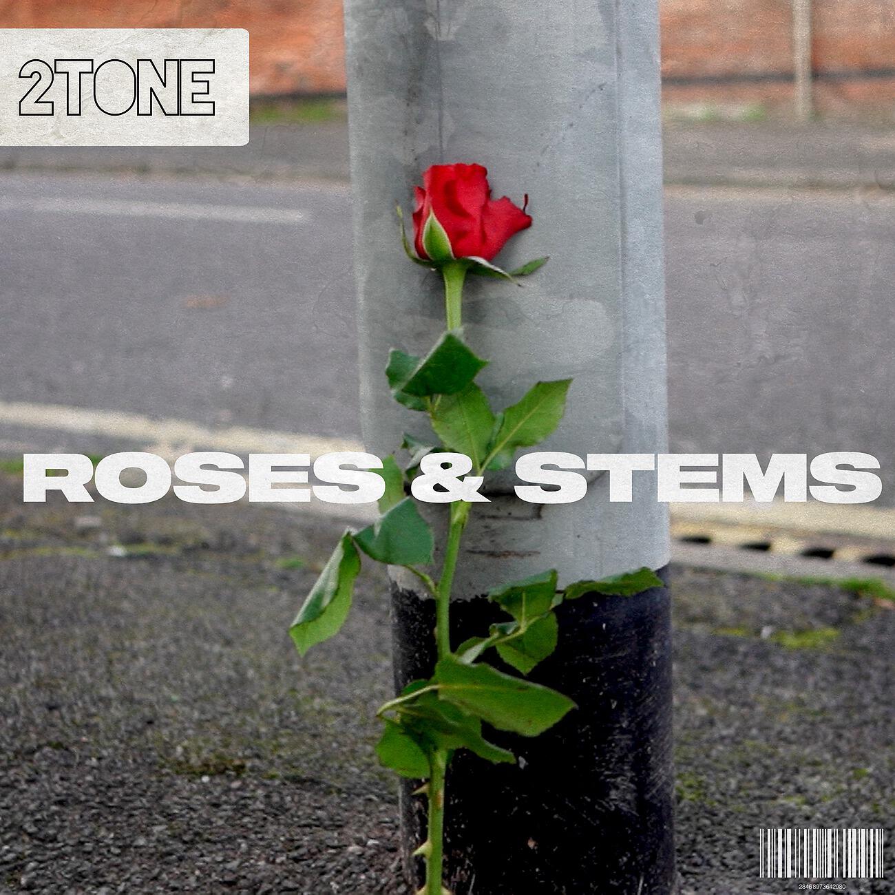 Релиз Roses & Stems