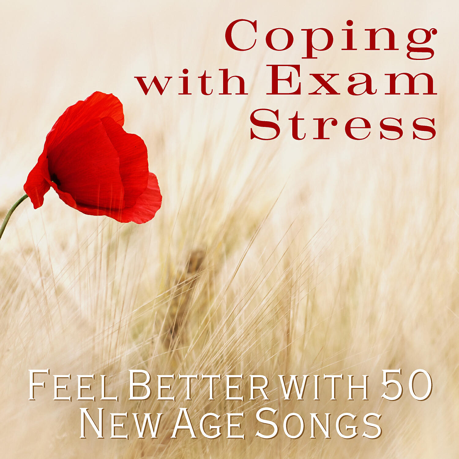 Релиз Coping with Exam Stress: Feel Better with 50 New Age Songs, Deep Relaxation Instrumental Music, Positive Energy, Mindfulness Training