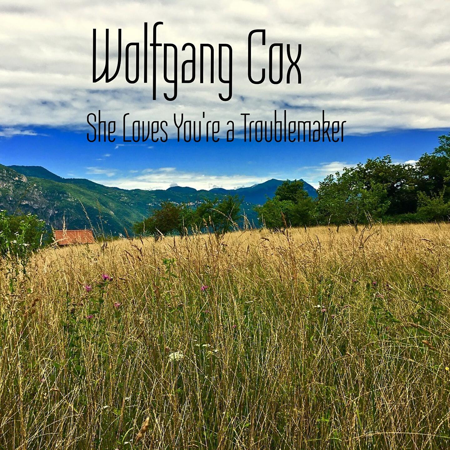 Wolfgang Cox