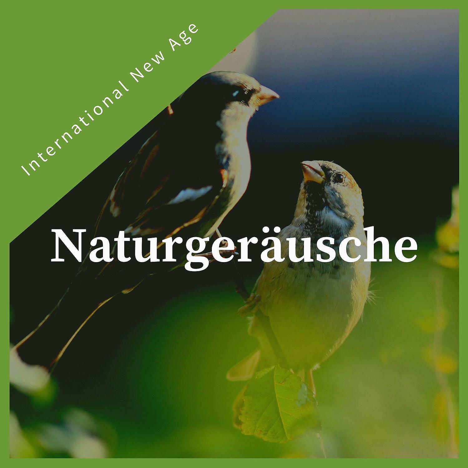 Релиз Naturgeräusche - Ruhige New-Age-Musik