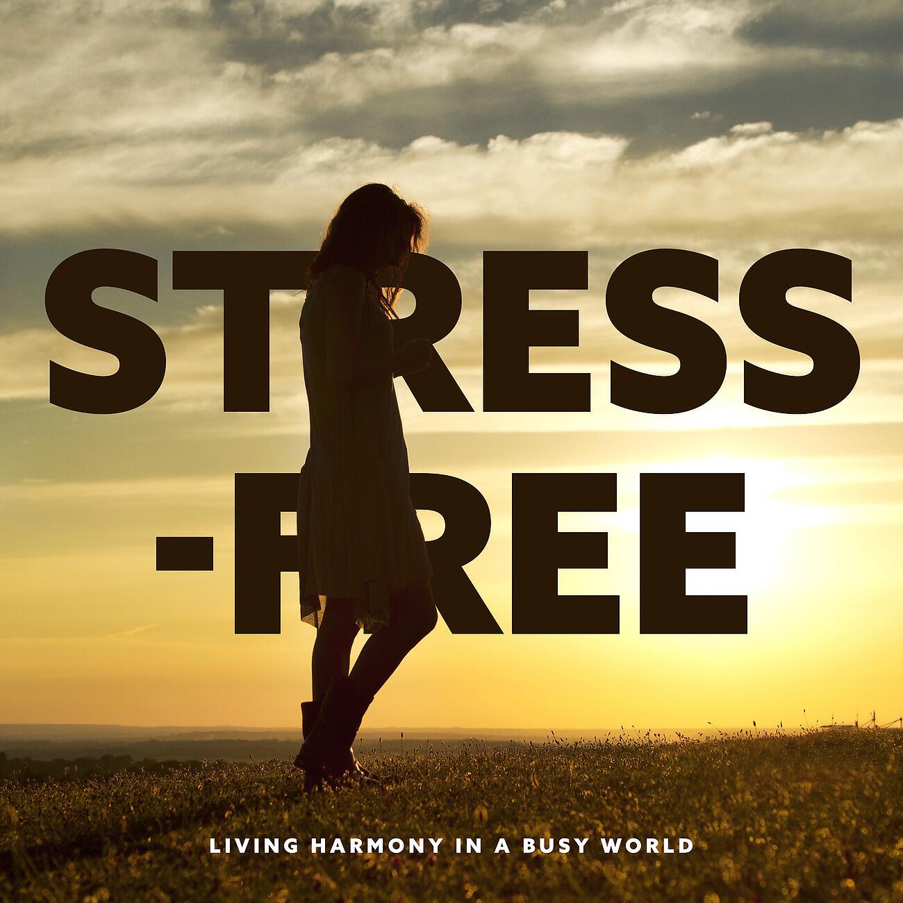 Релиз Stress-free