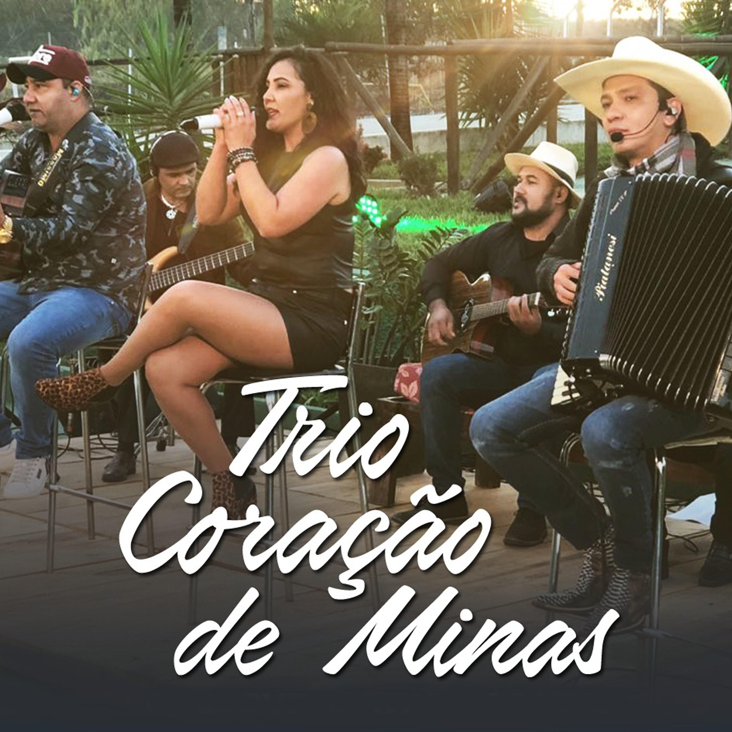 Trio Coração De Minas