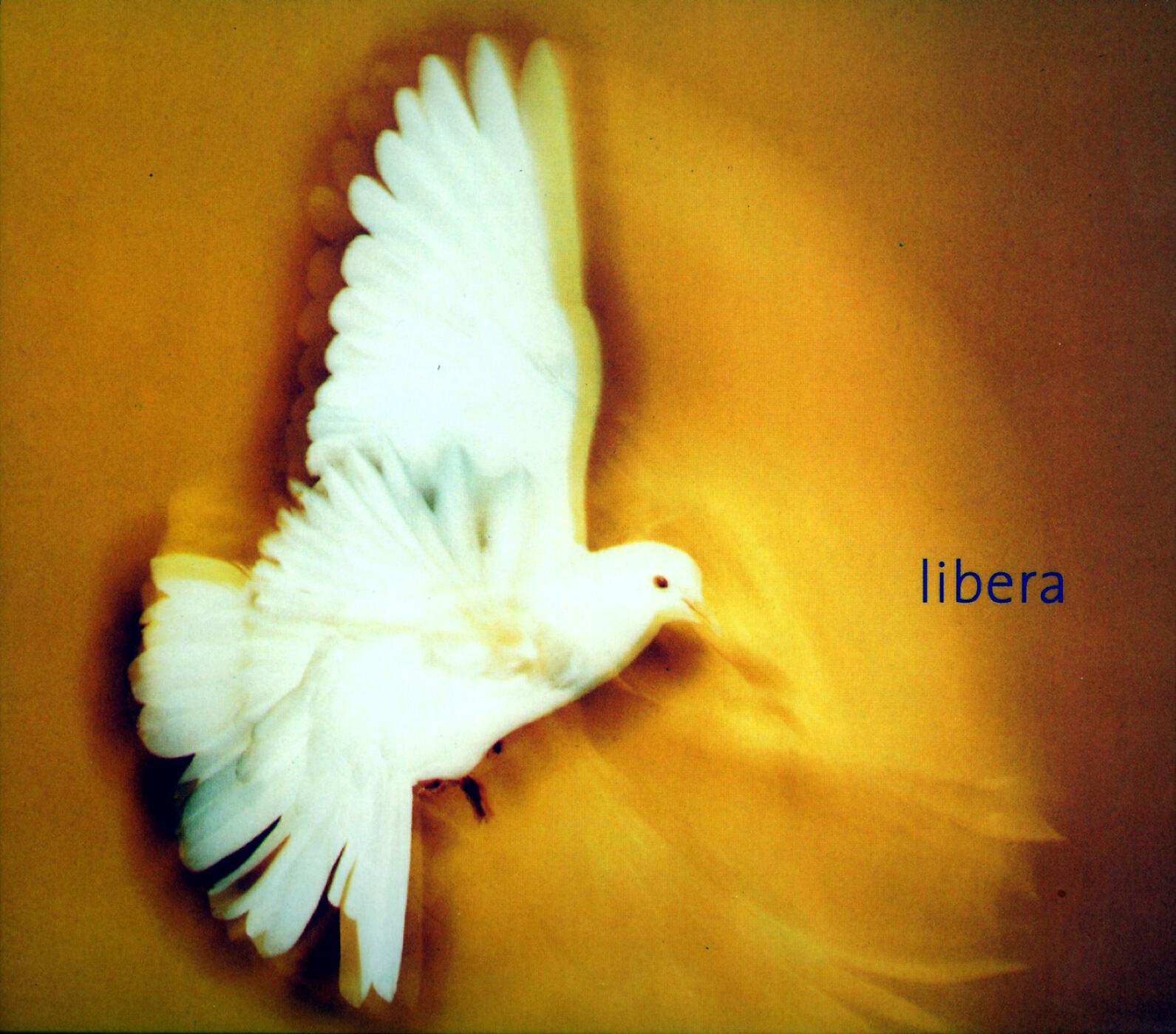 Релиз Libera