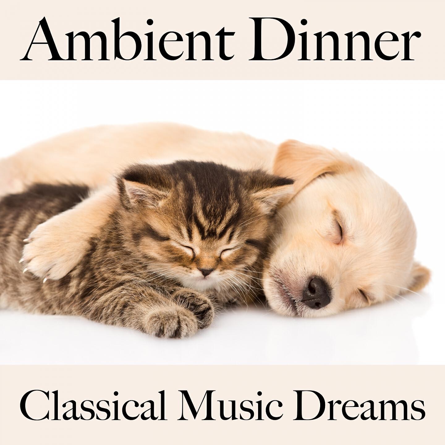 Релиз Ambient Dinner: Classical Music Dreams - Os Melhores Sons Para Relaxar