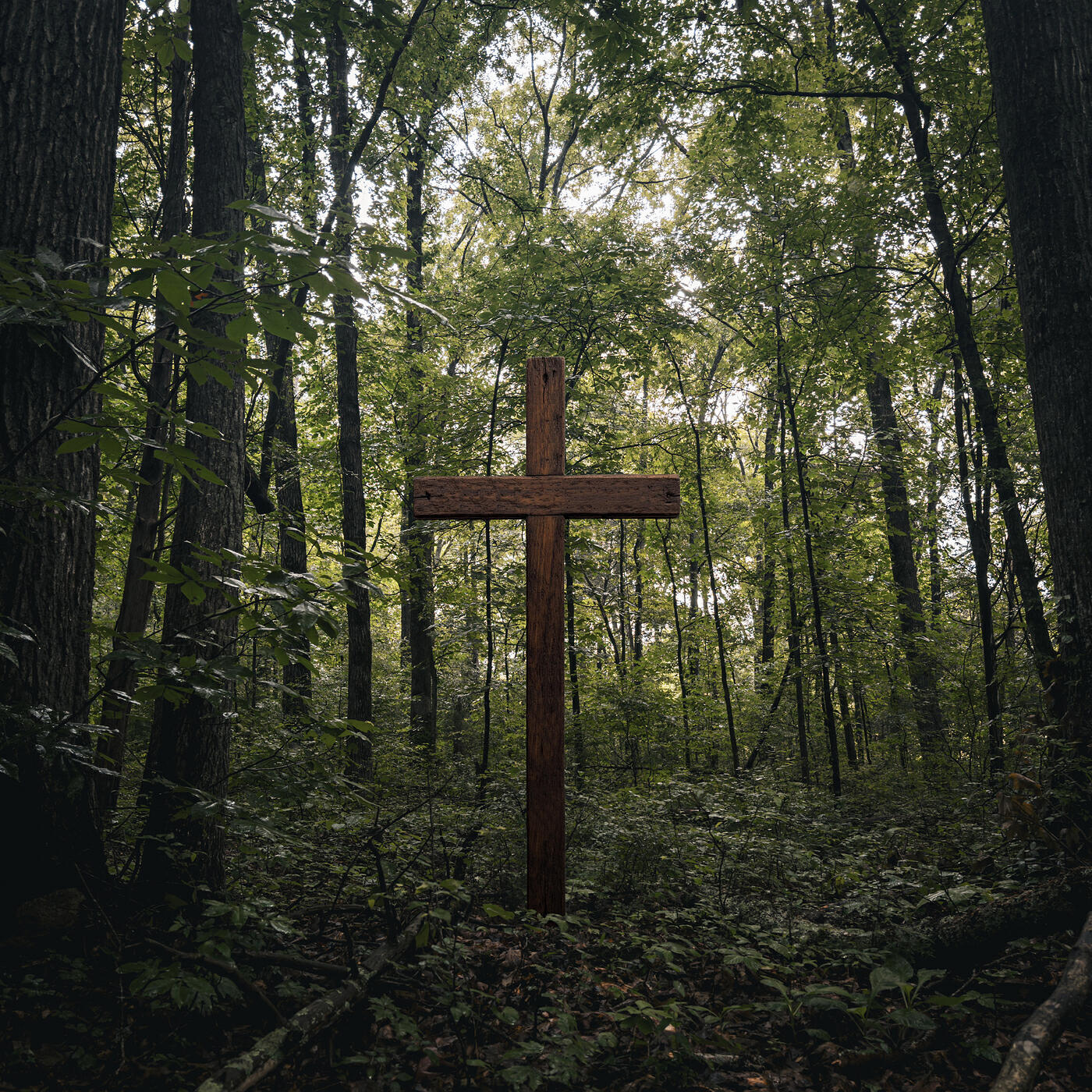 Релиз Your Blood Made a Way