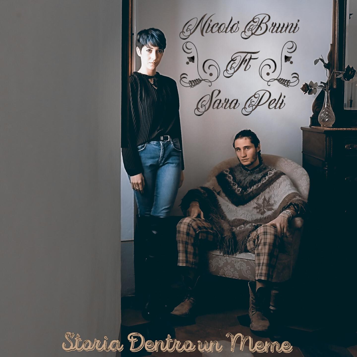 Постер альбома Storia dentro un meme