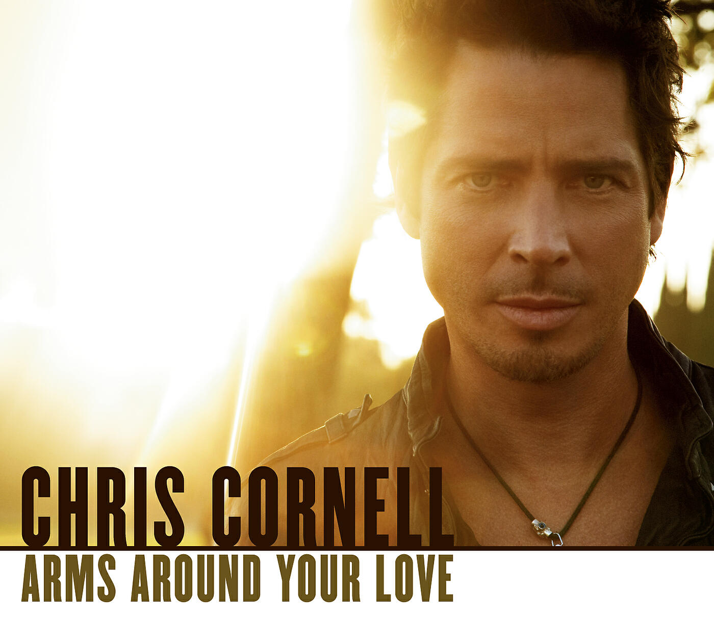 Релиз Arms Around Your Love