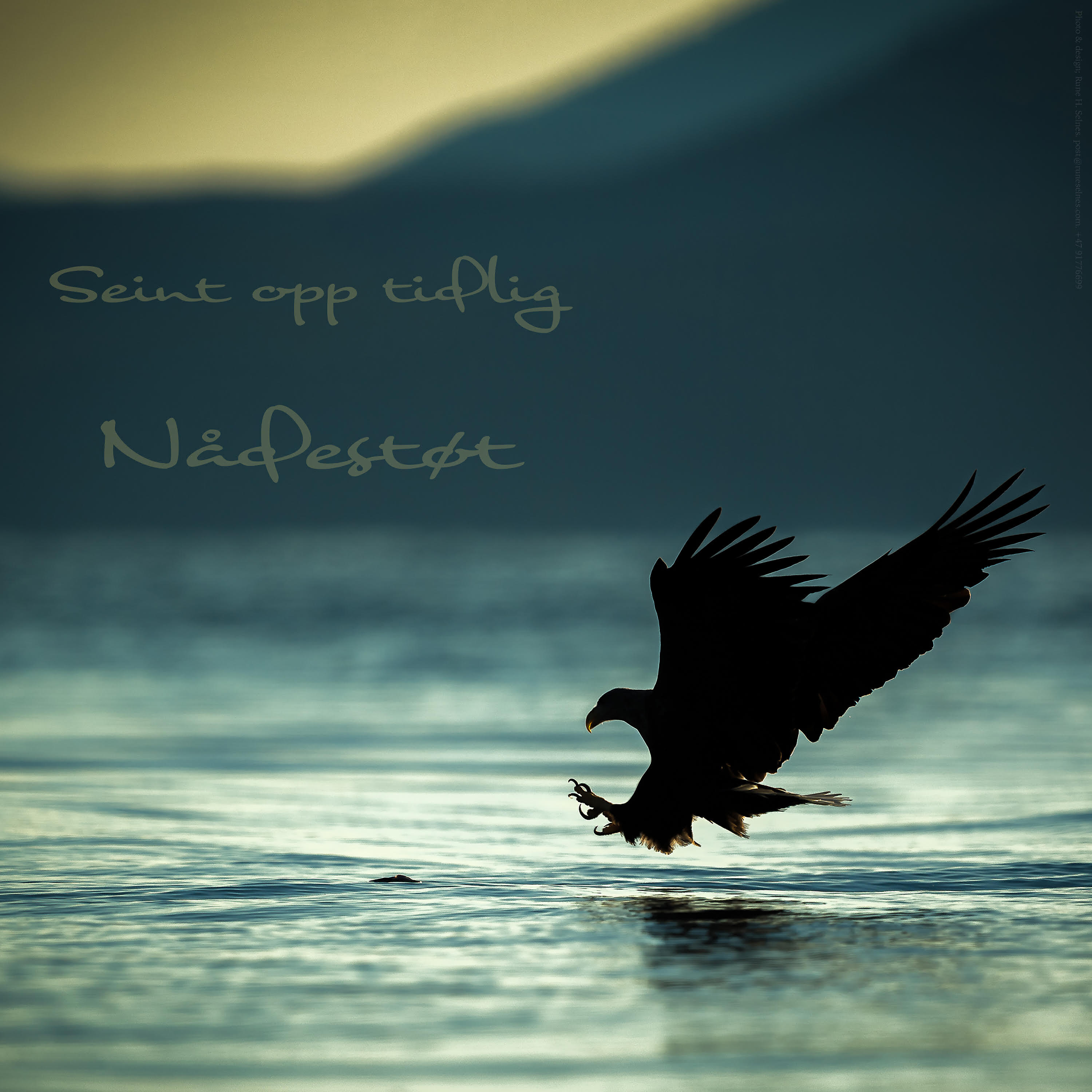 Релиз Nådestøt