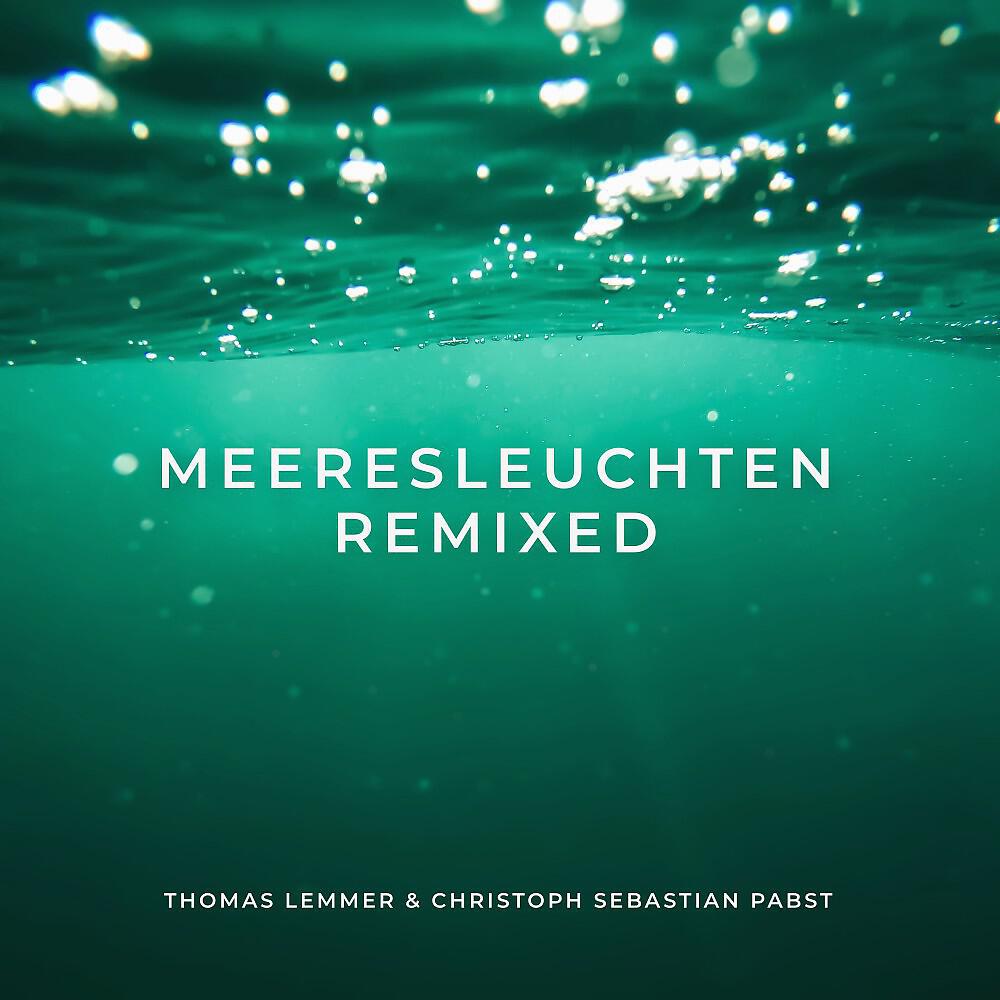 Релиз Indigobrandung (Florian Shipke Remix)