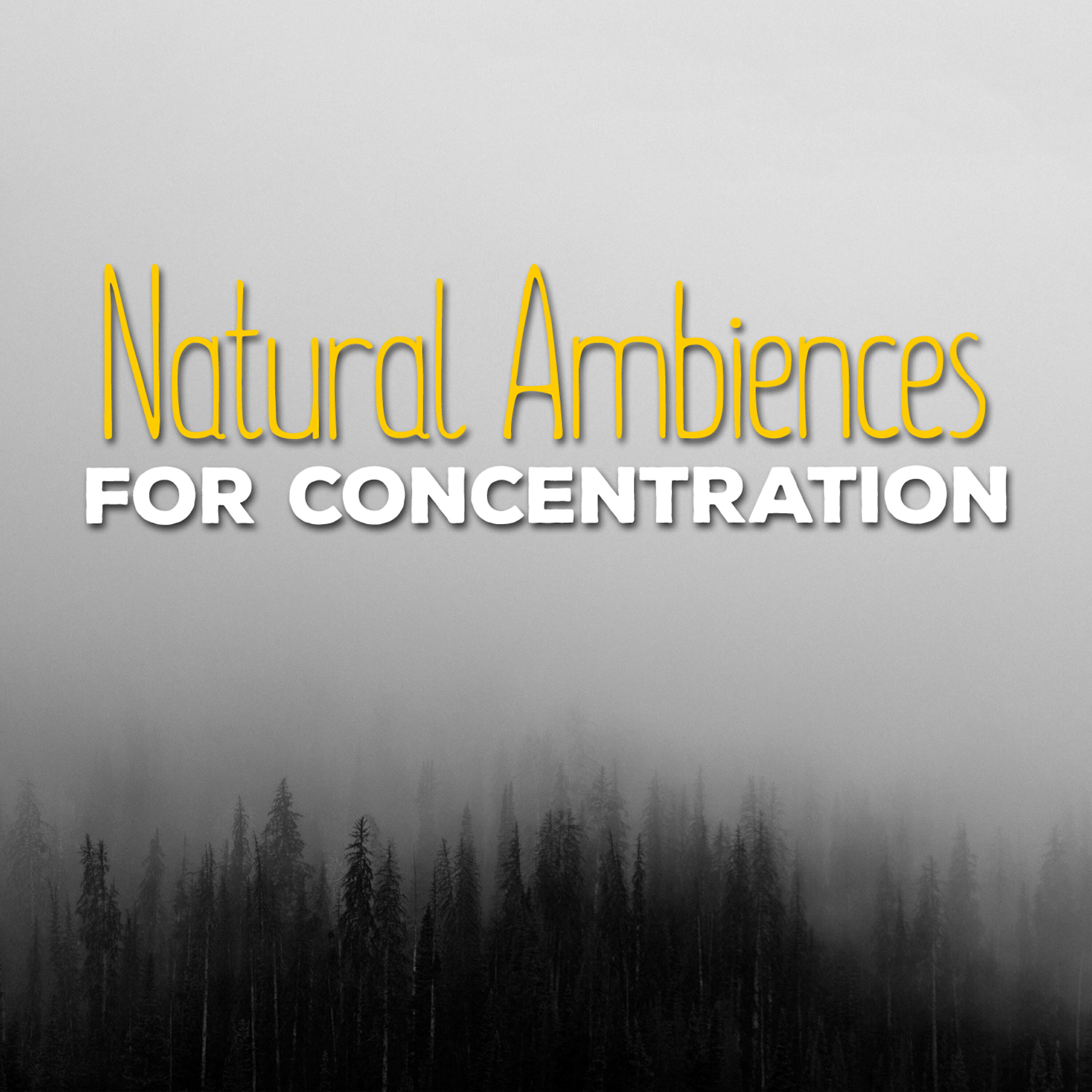 Релиз Natural Ambiences for Concentration