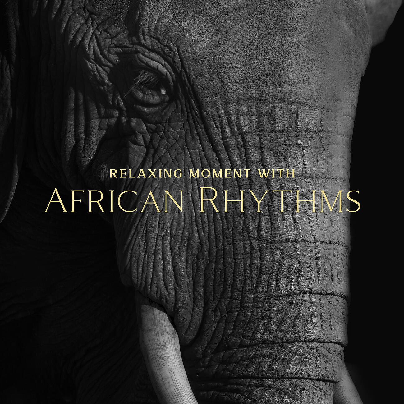 Релиз Relaxing Moment with African Rhythms