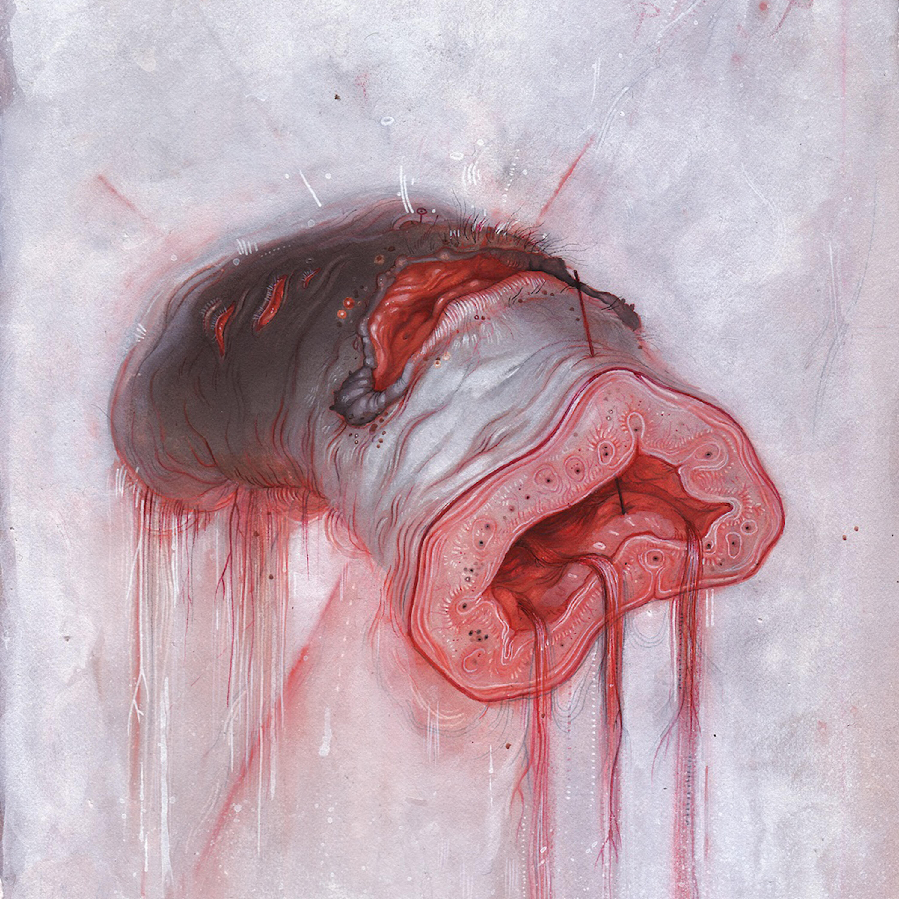 Релиз Prolapse