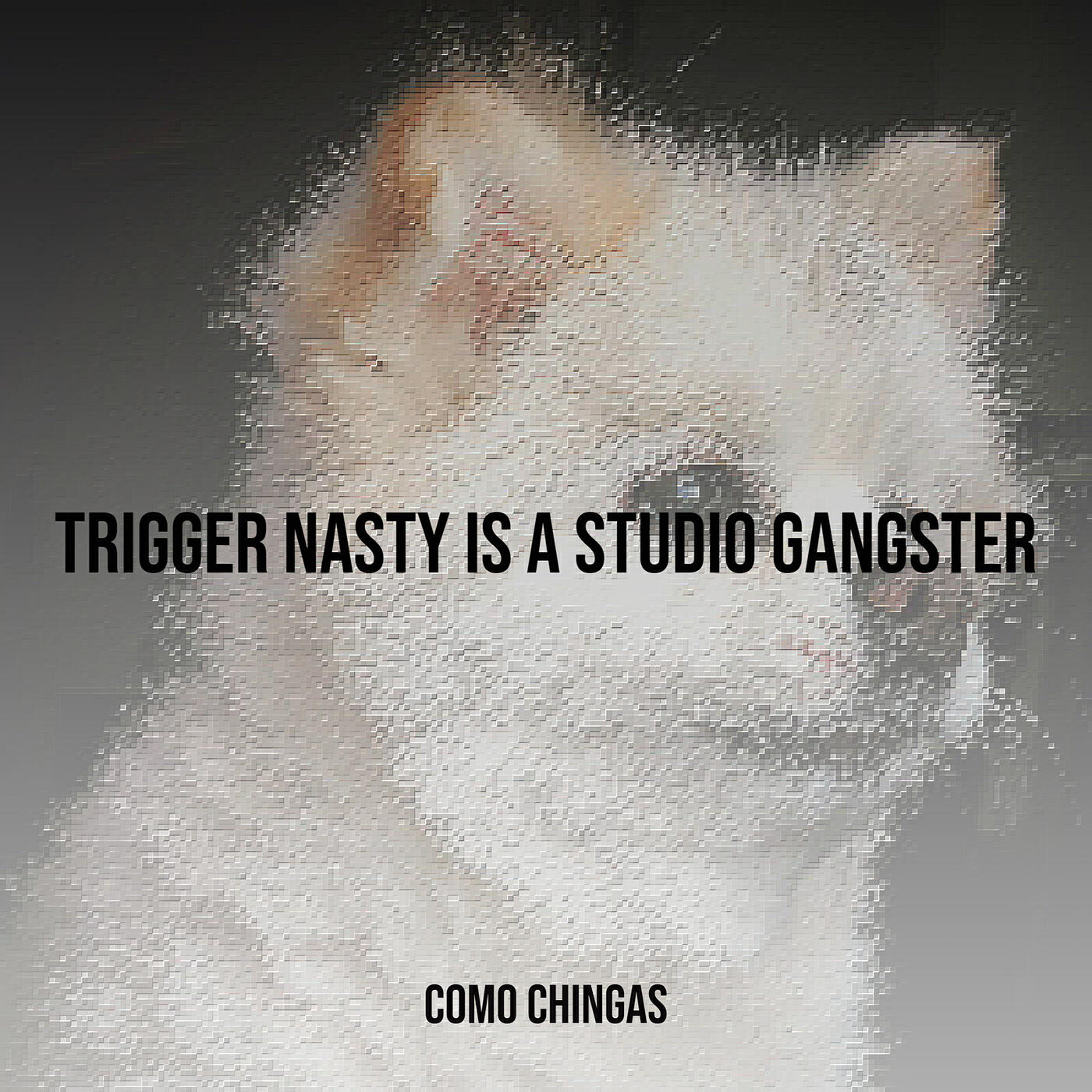 Релиз Trigger Nasty Is a Studio Gangster