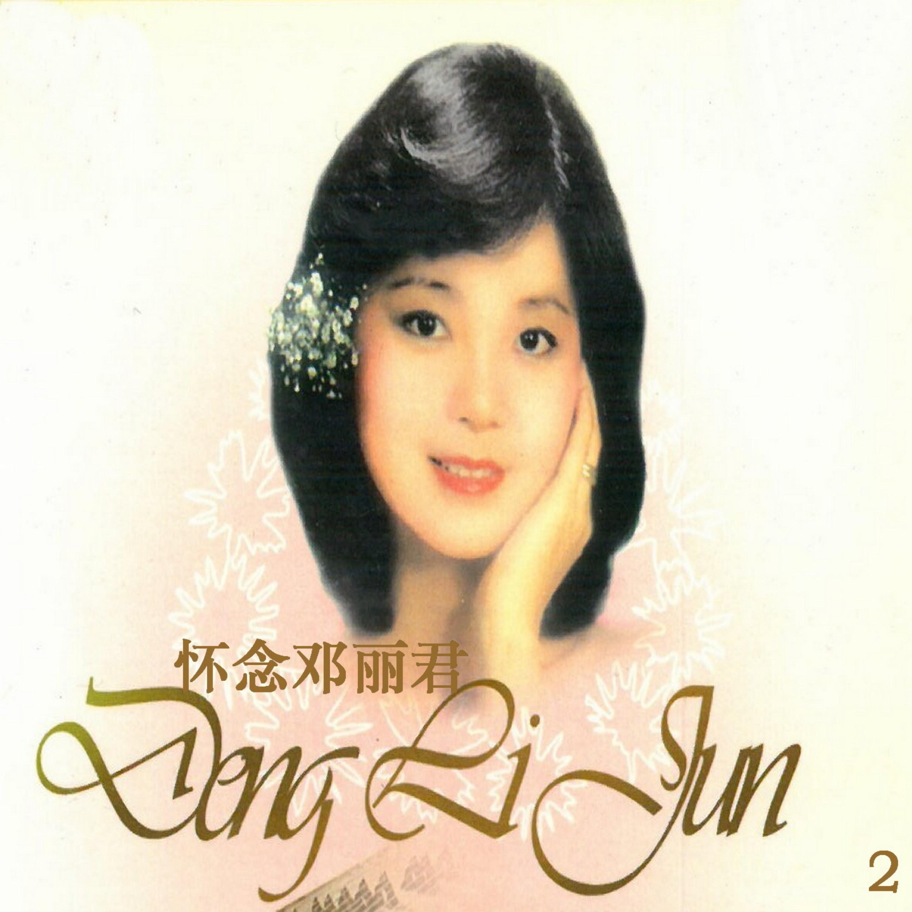 Релиз 怀念邓丽君 2