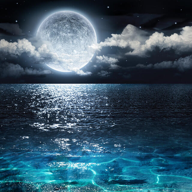 Релиз Timeless Tranquillity Collection - Complete Compilation of 40 Peaceful Tracks to Take You Away & Completely Relax