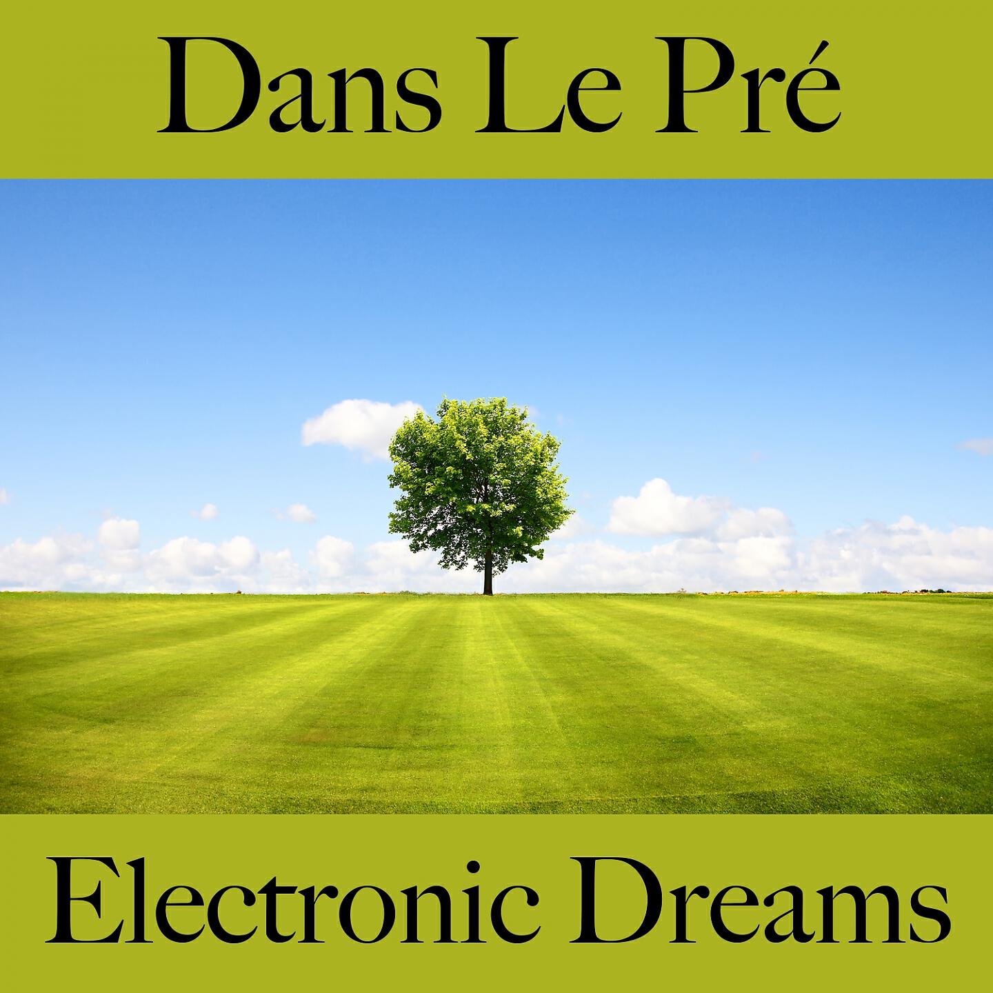 Релиз Dans Le Pré: Electronic Dreams - La Meilleure Musique Pour Se Détendre