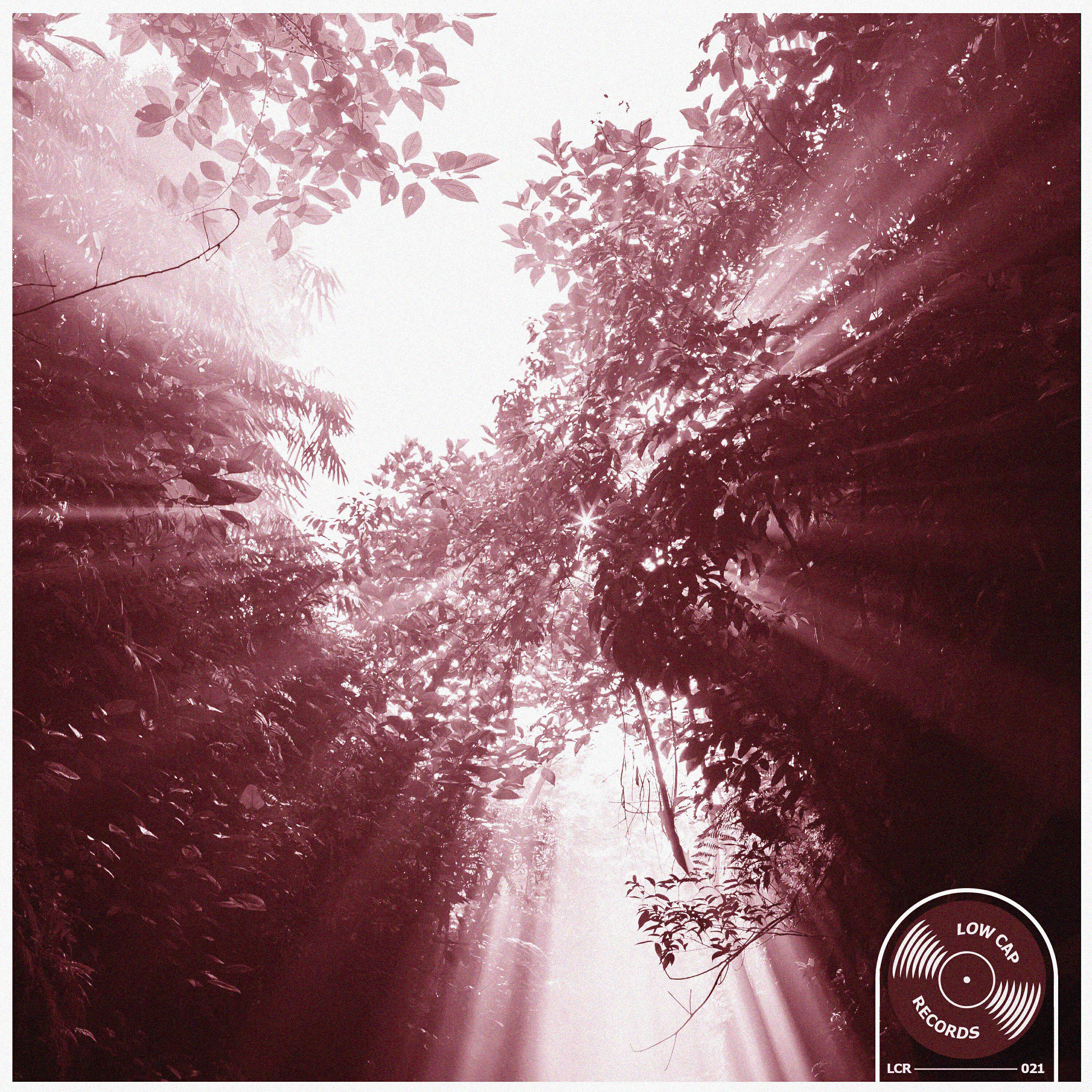 Релиз Warmth