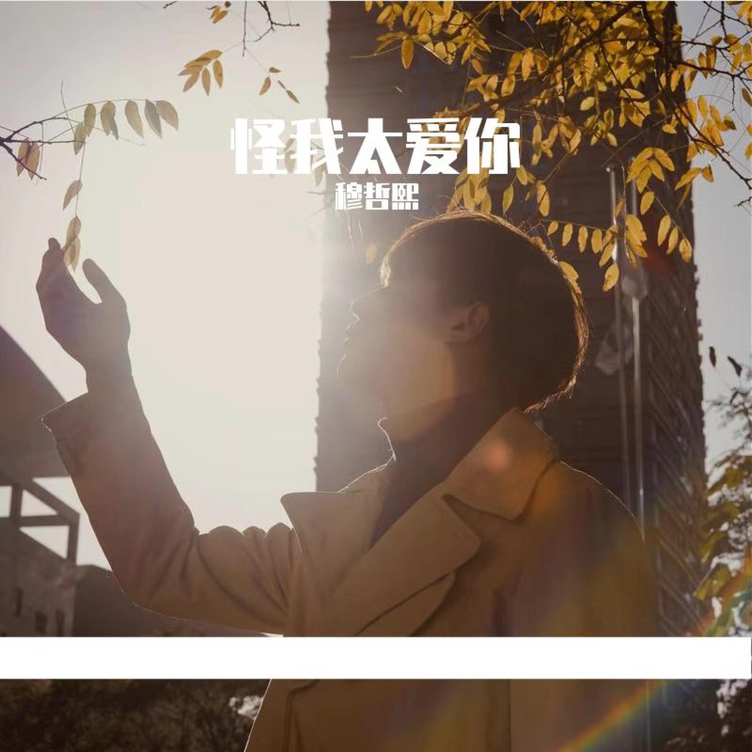 穆哲熙
