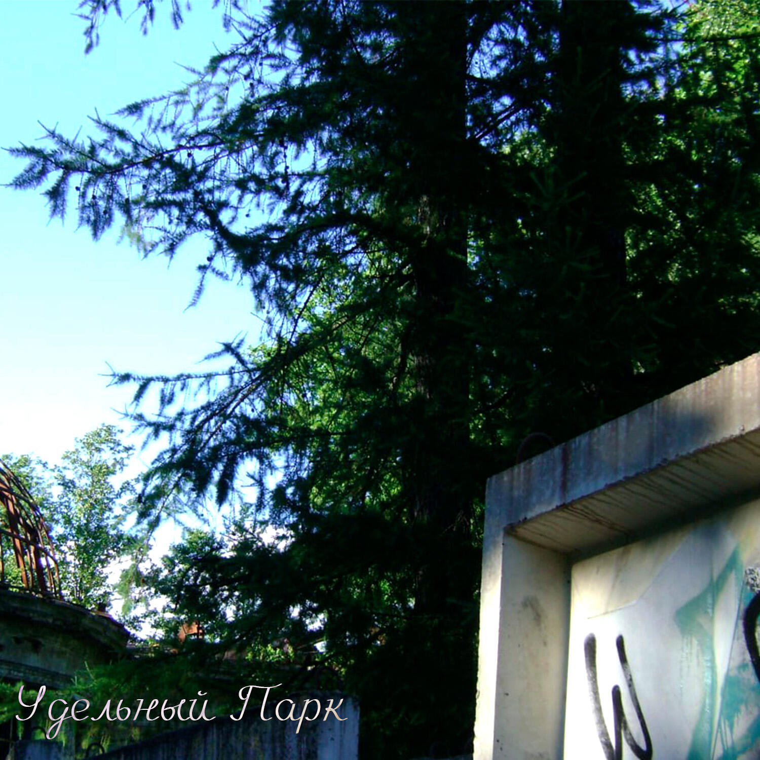 Релиз Удельный Парк