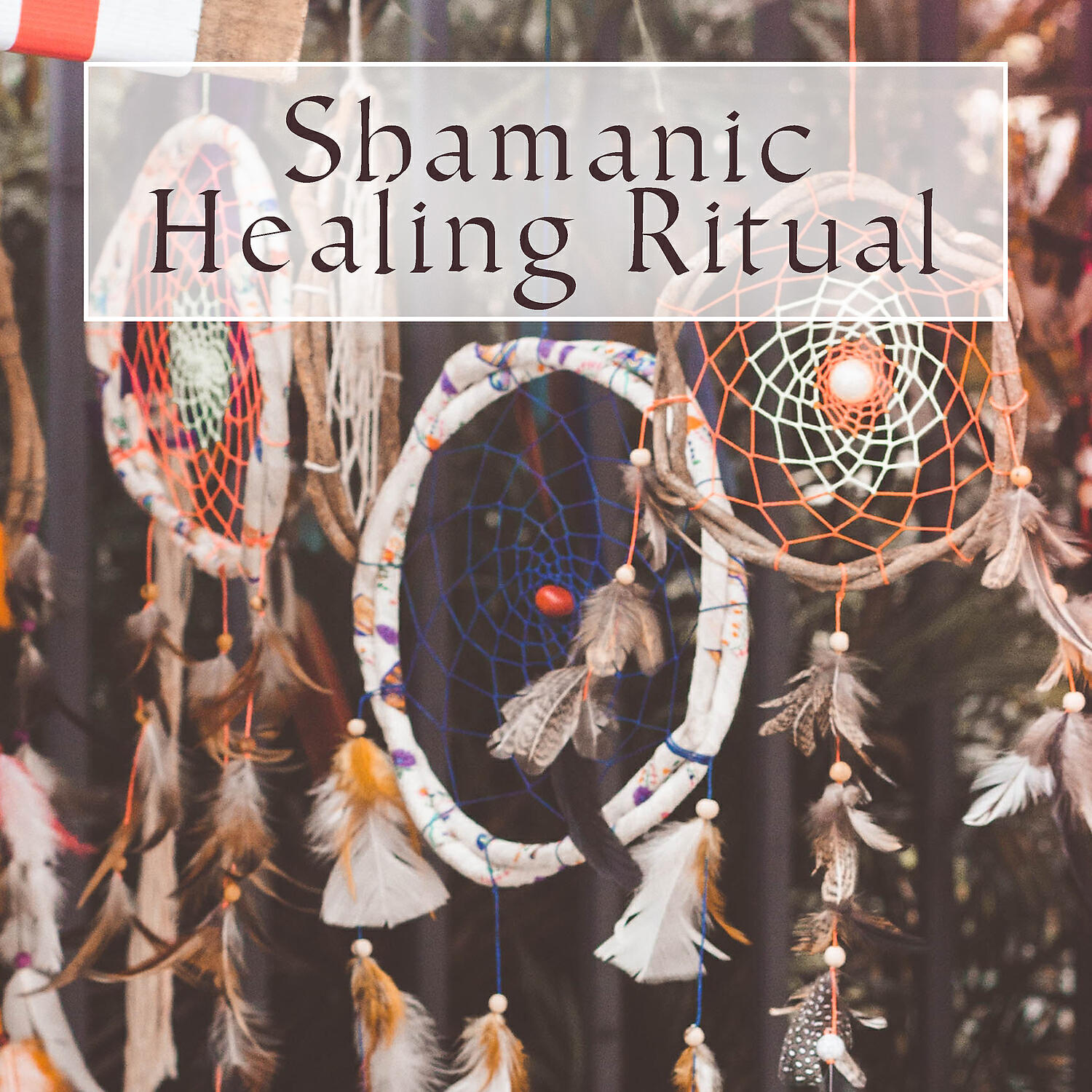 Shamanic Drumming World / Native American Music Consort