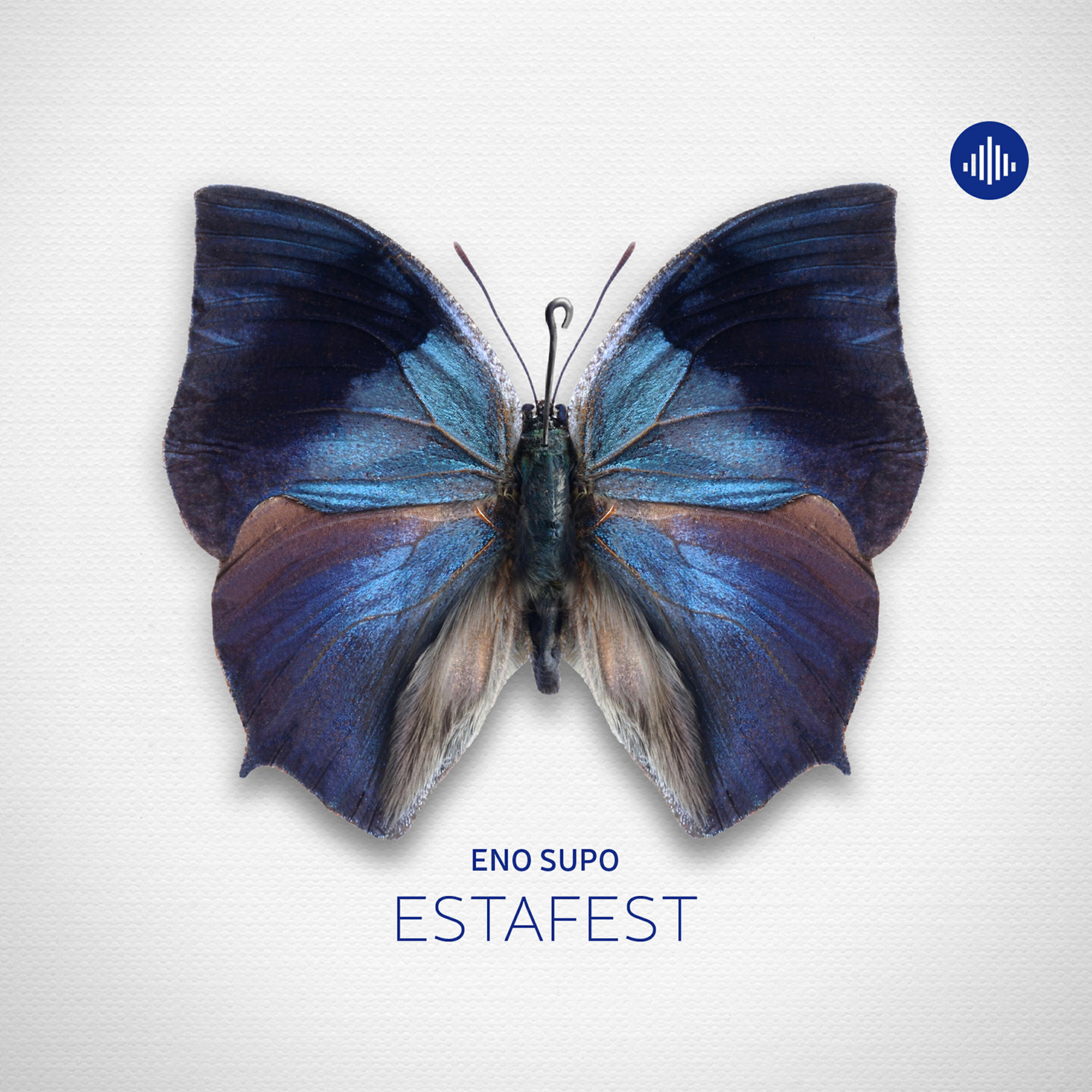 Релиз Eno Supo