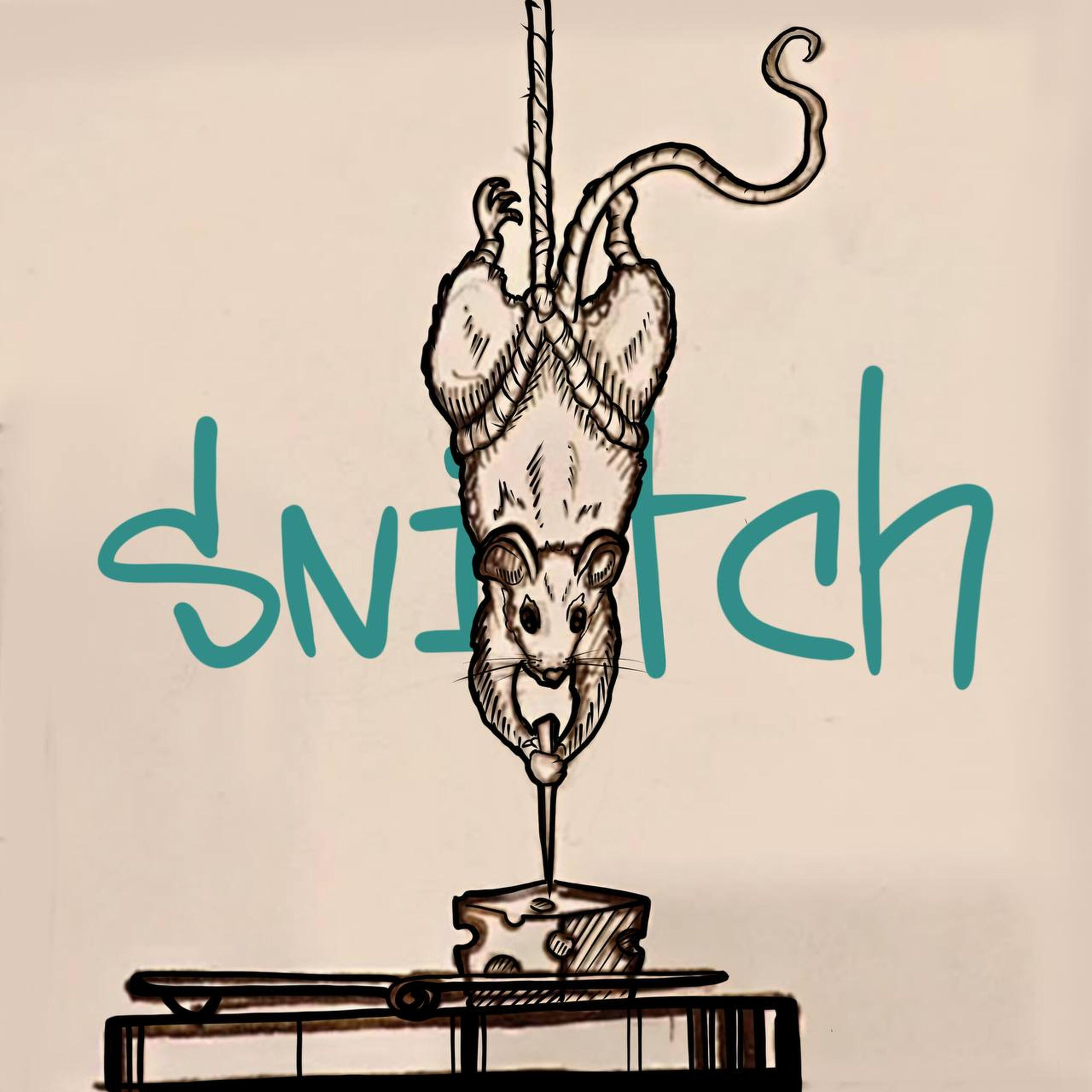 Релиз SNITCH