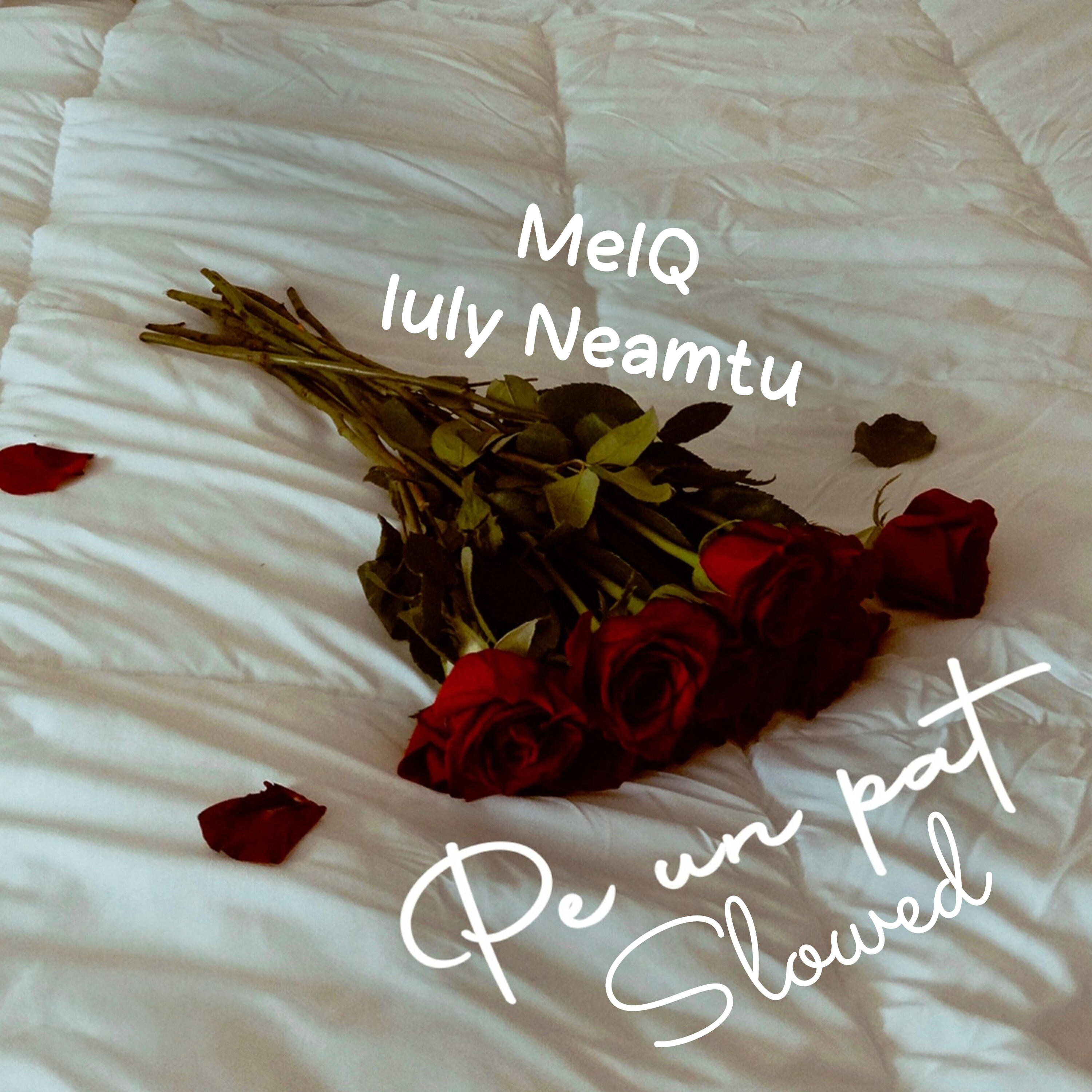 Релиз Pe un pat