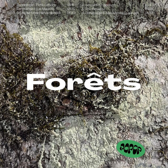 Релиз Forêts