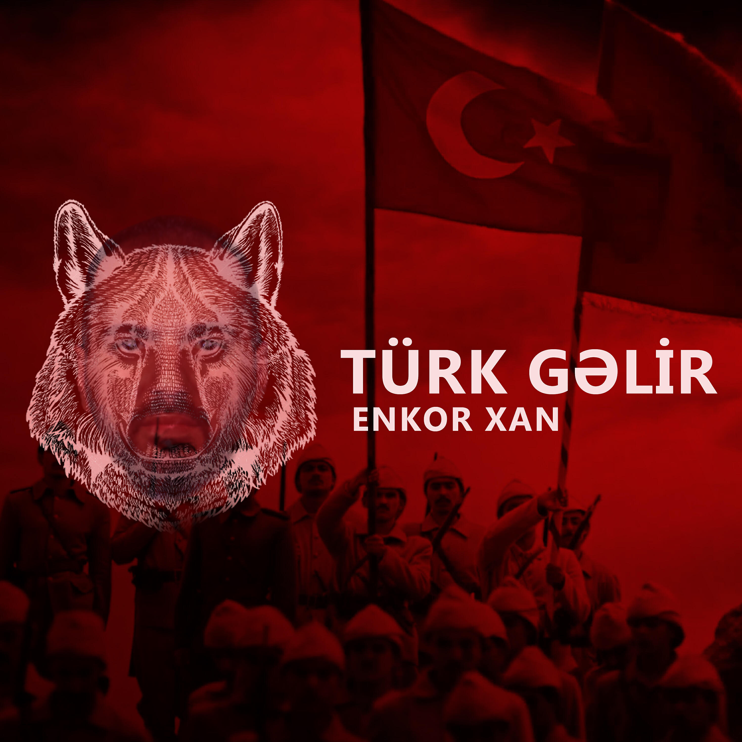 Релиз Türk Gəlir