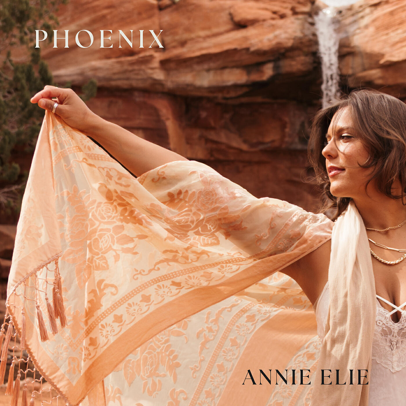 Релиз Phoenix