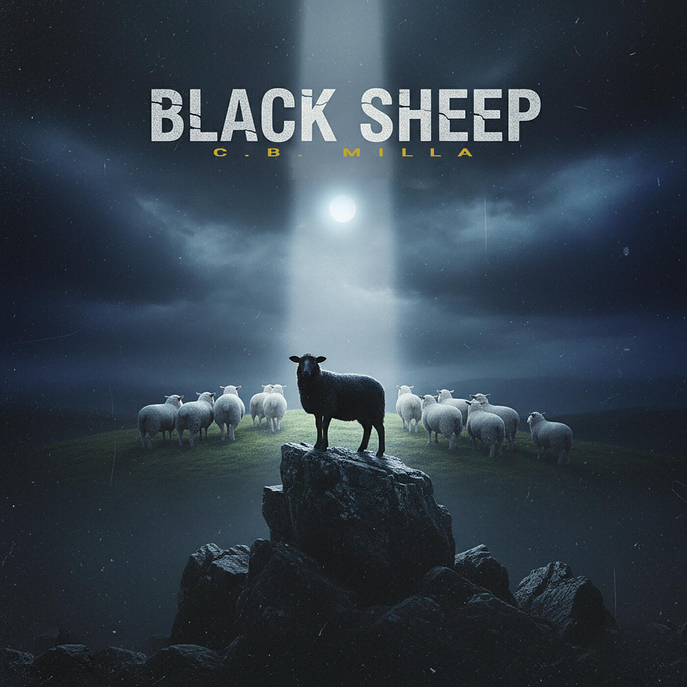 Релиз Black Sheep