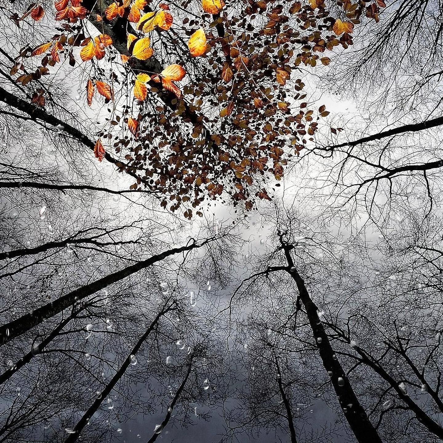 Релиз 私はあなたを愛してる