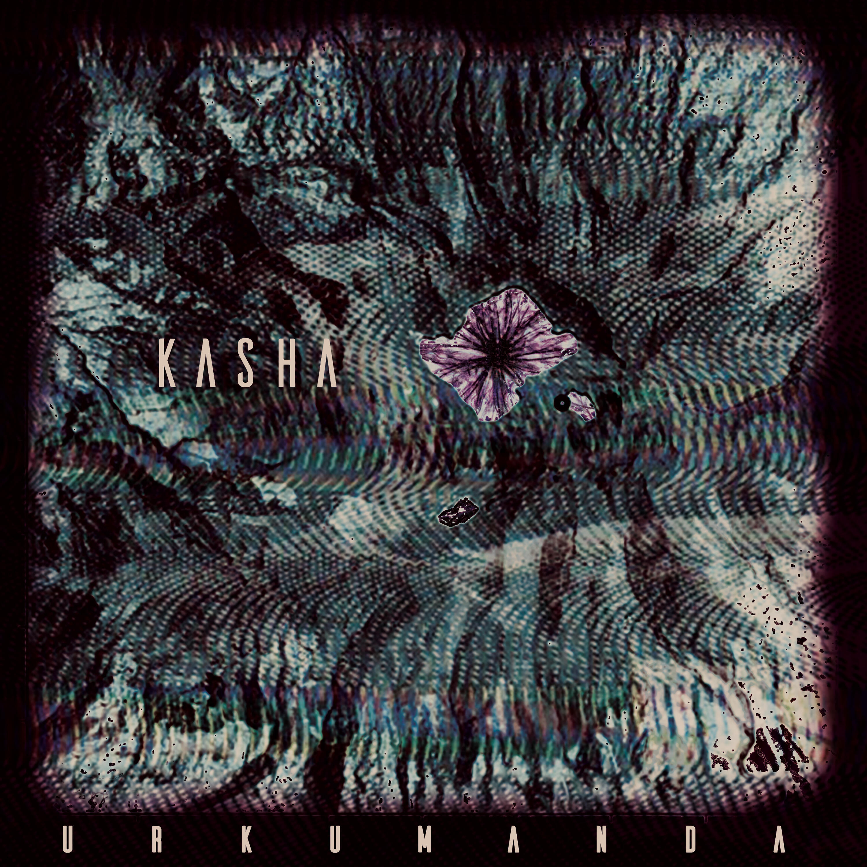 Релиз Kasha