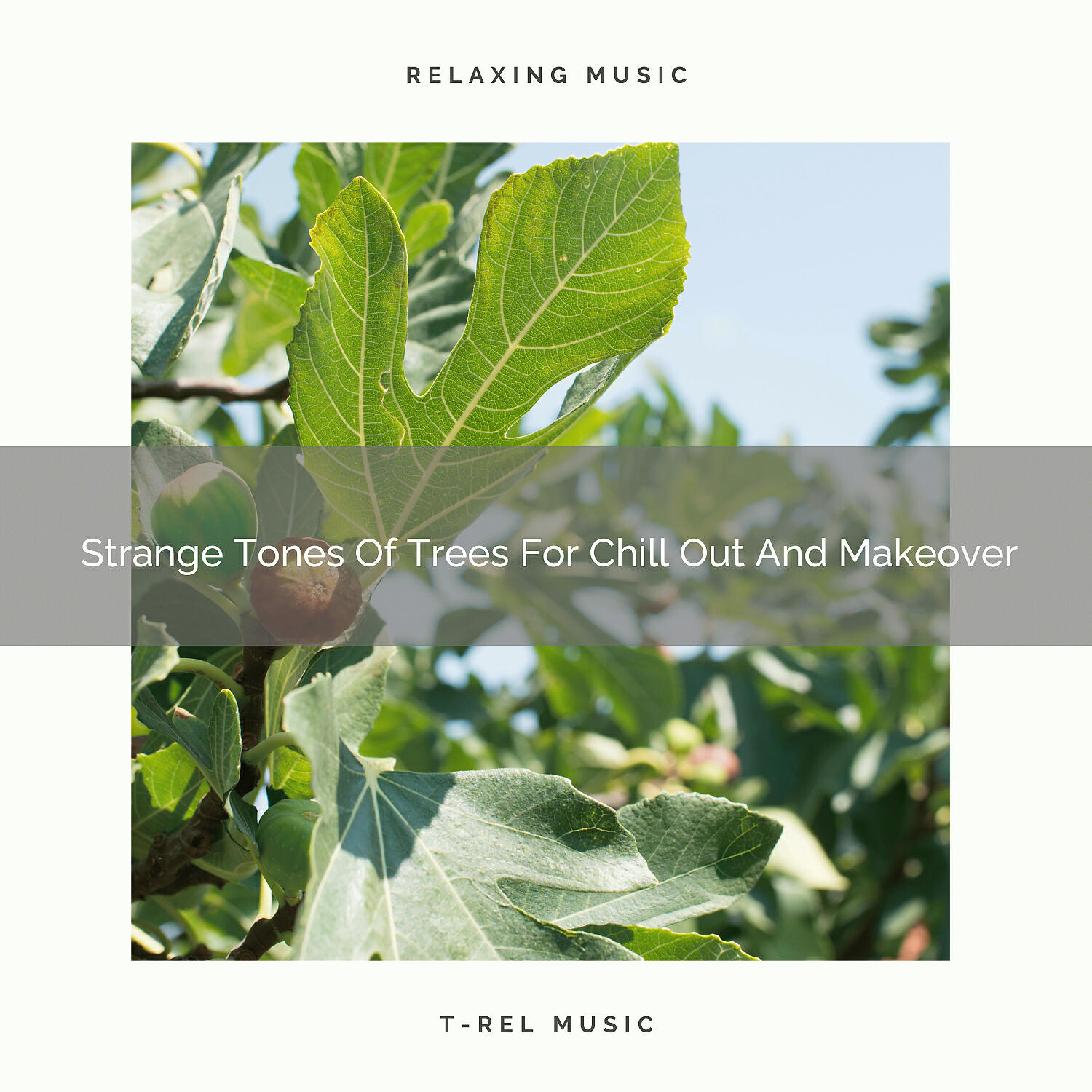 Релиз 2020 Best: Strange Tones Of Trees For Chill Out And Makeover