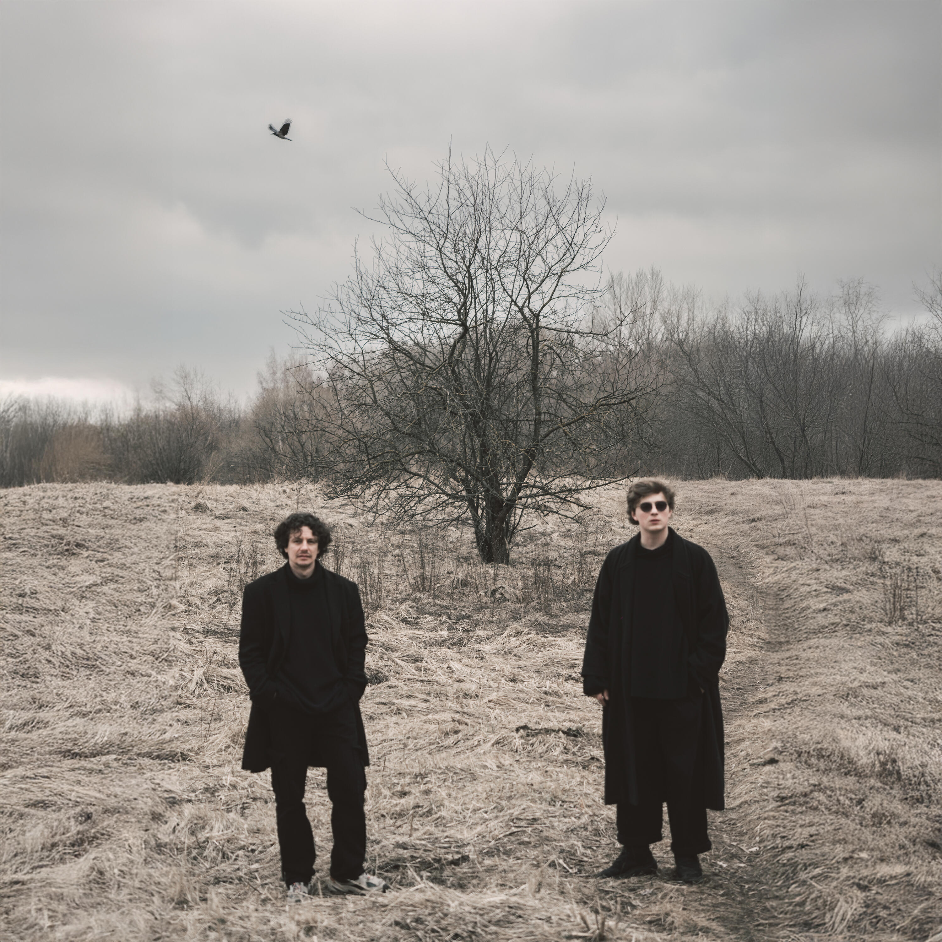 Волна по релизу