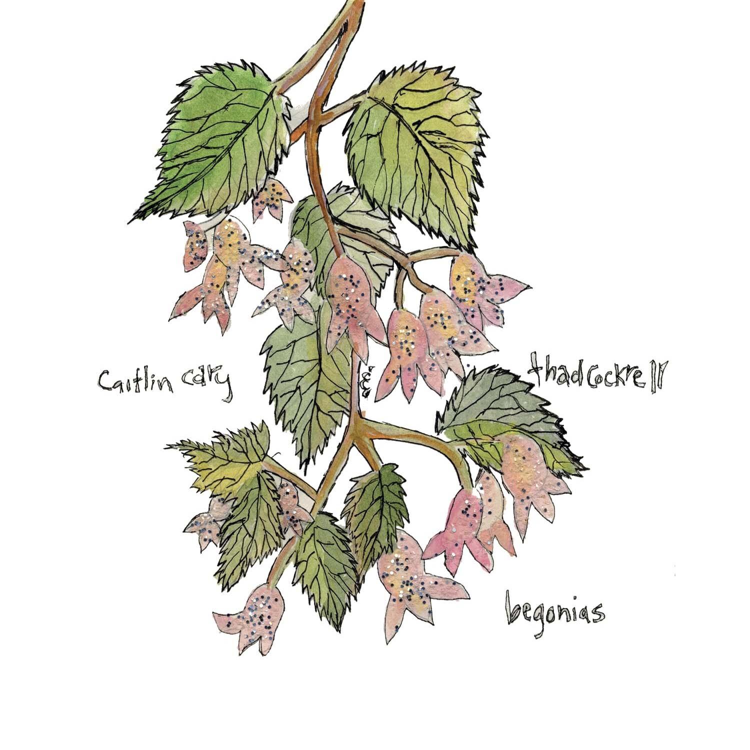 Релиз Begonias