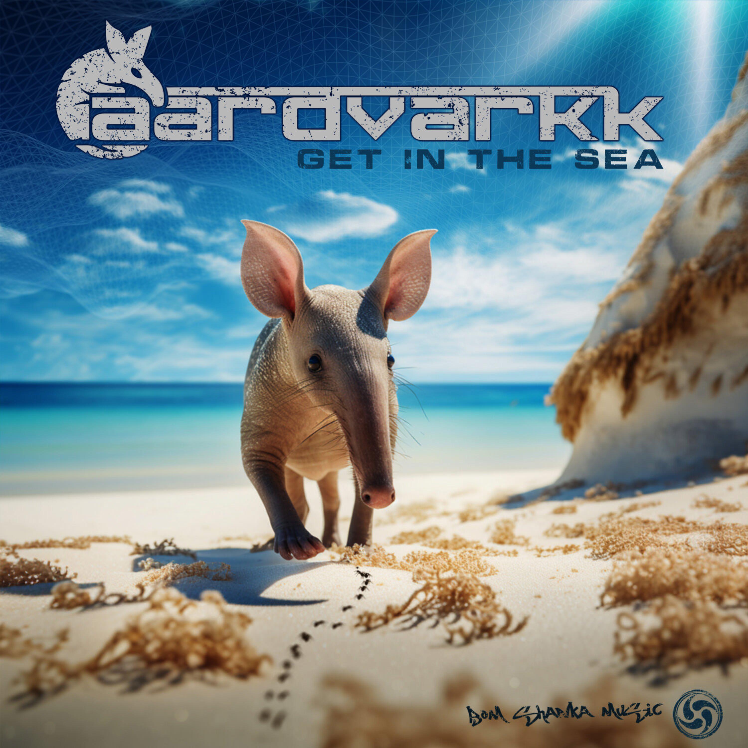 Постер альбома Get In The Sea