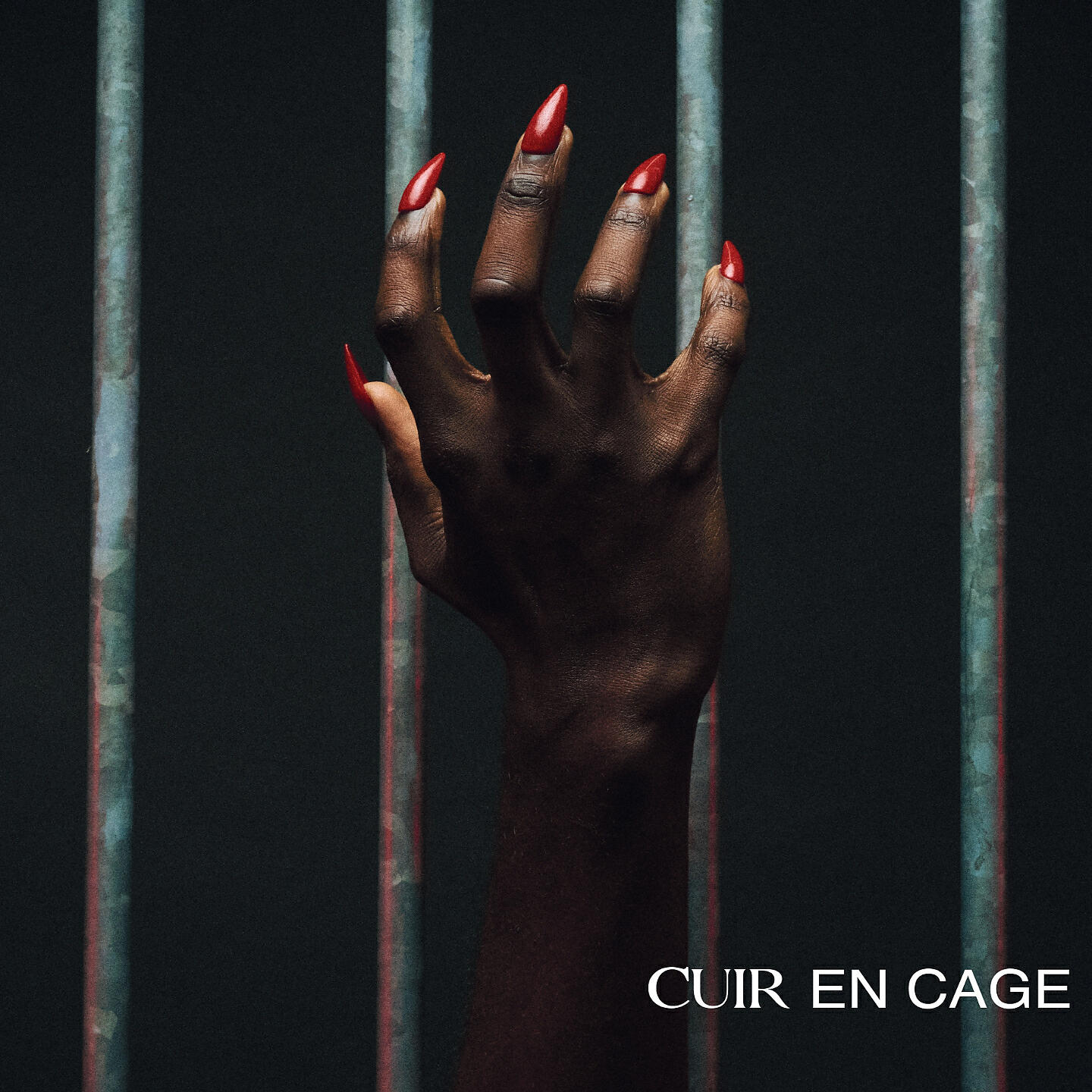 Релиз Cuir en cage
