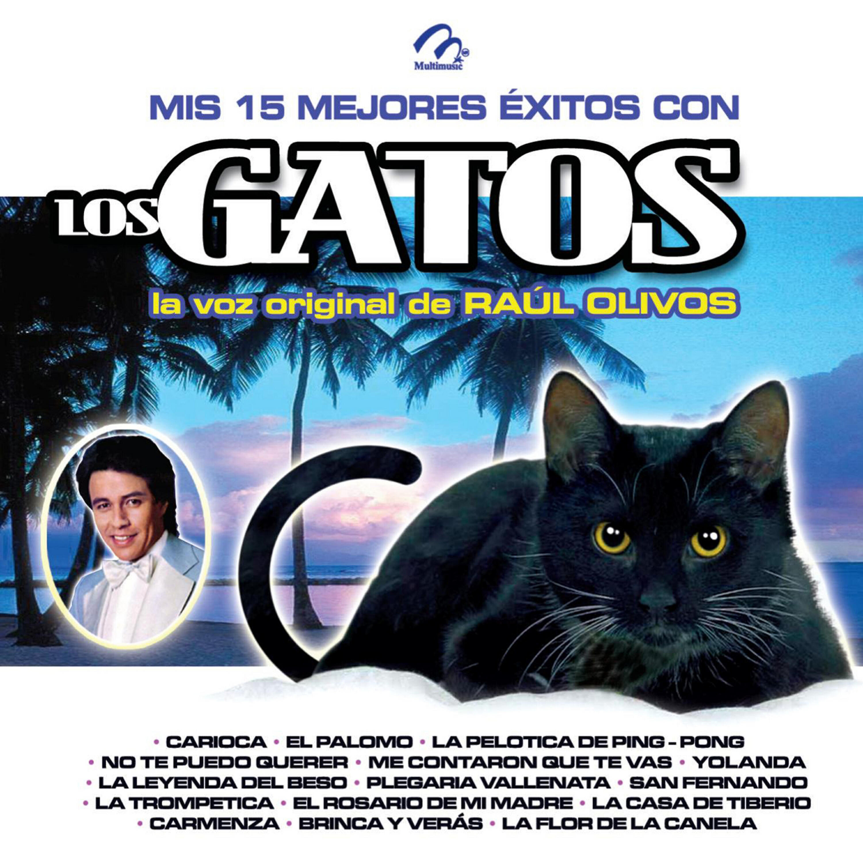 Релиз Mis 15 Mejores Éxitos Con los Gatos