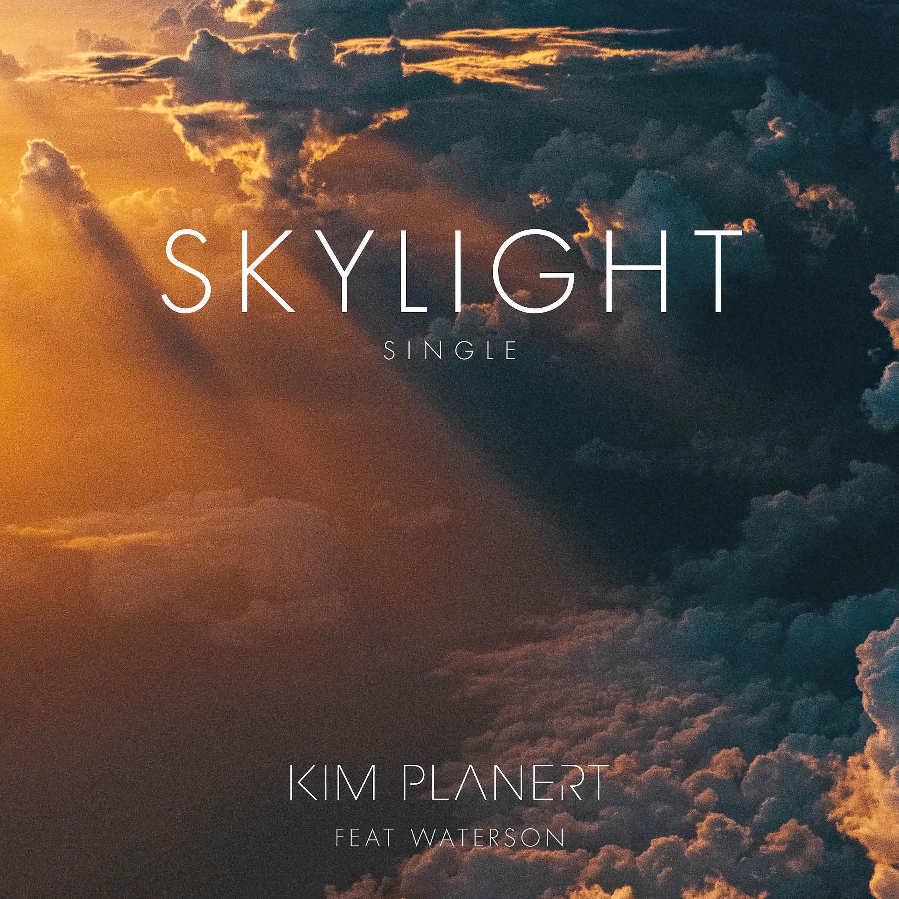 Релиз Skylight (feat. Waterson)