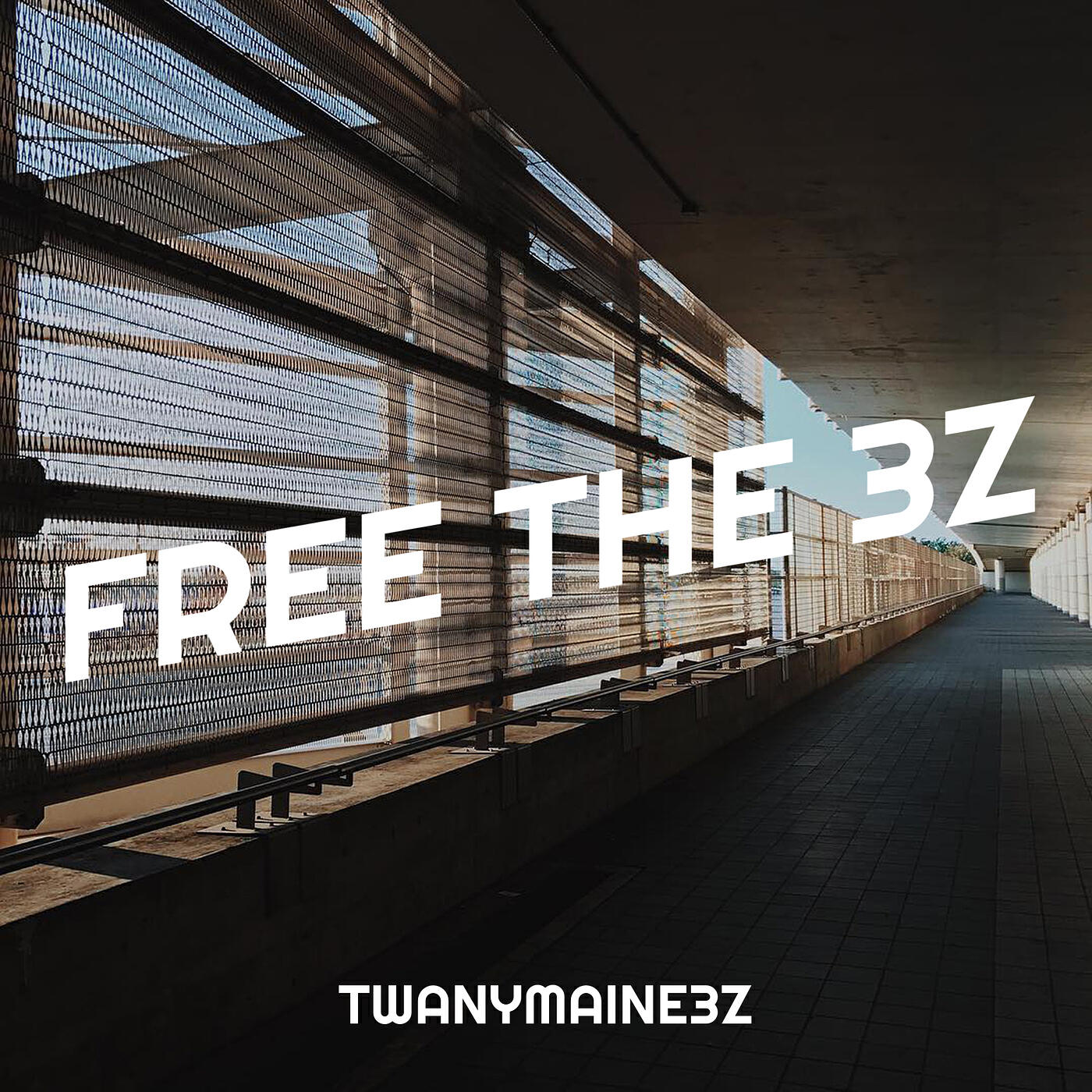 Релиз Free the 3z
