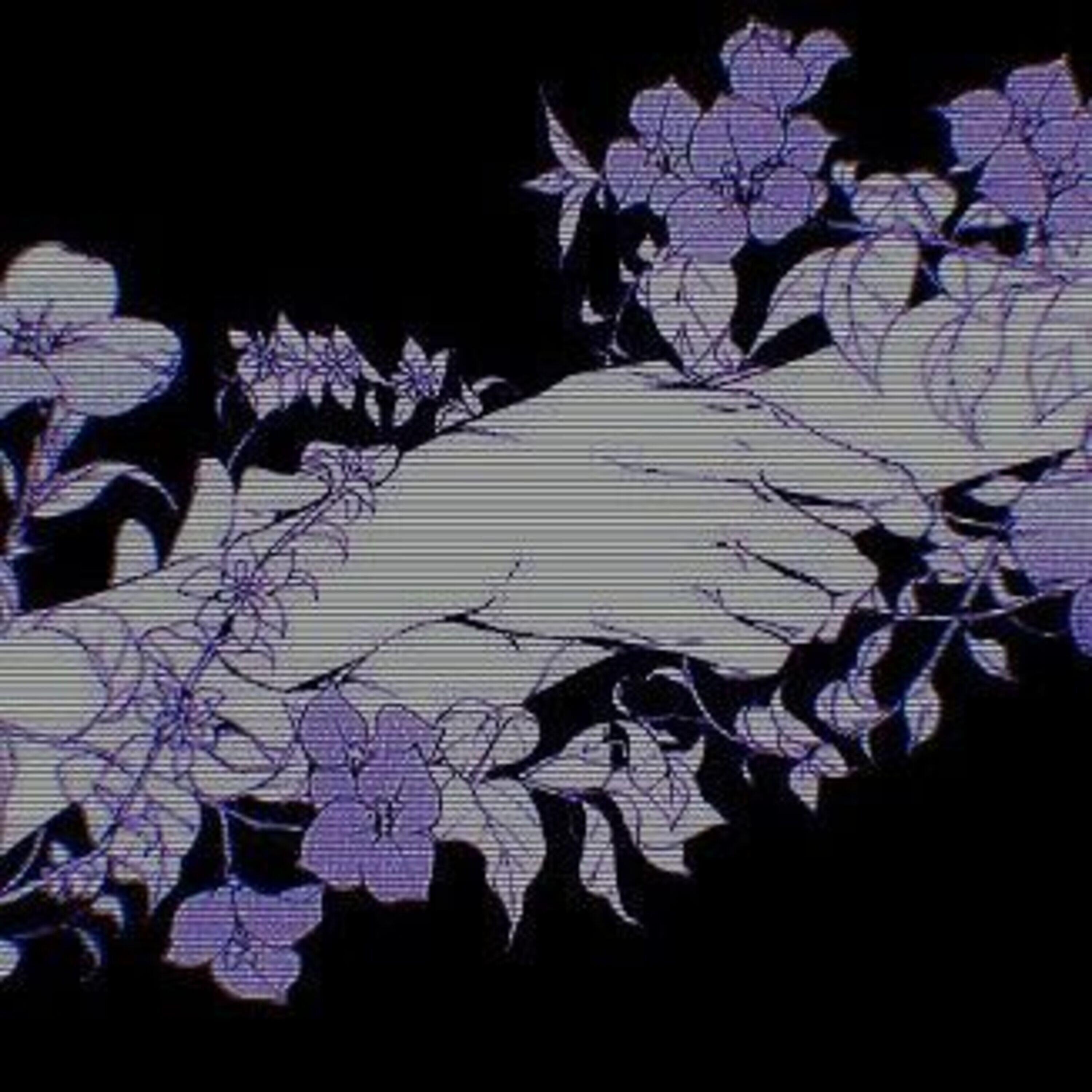 Релиз Habrá Tiempo