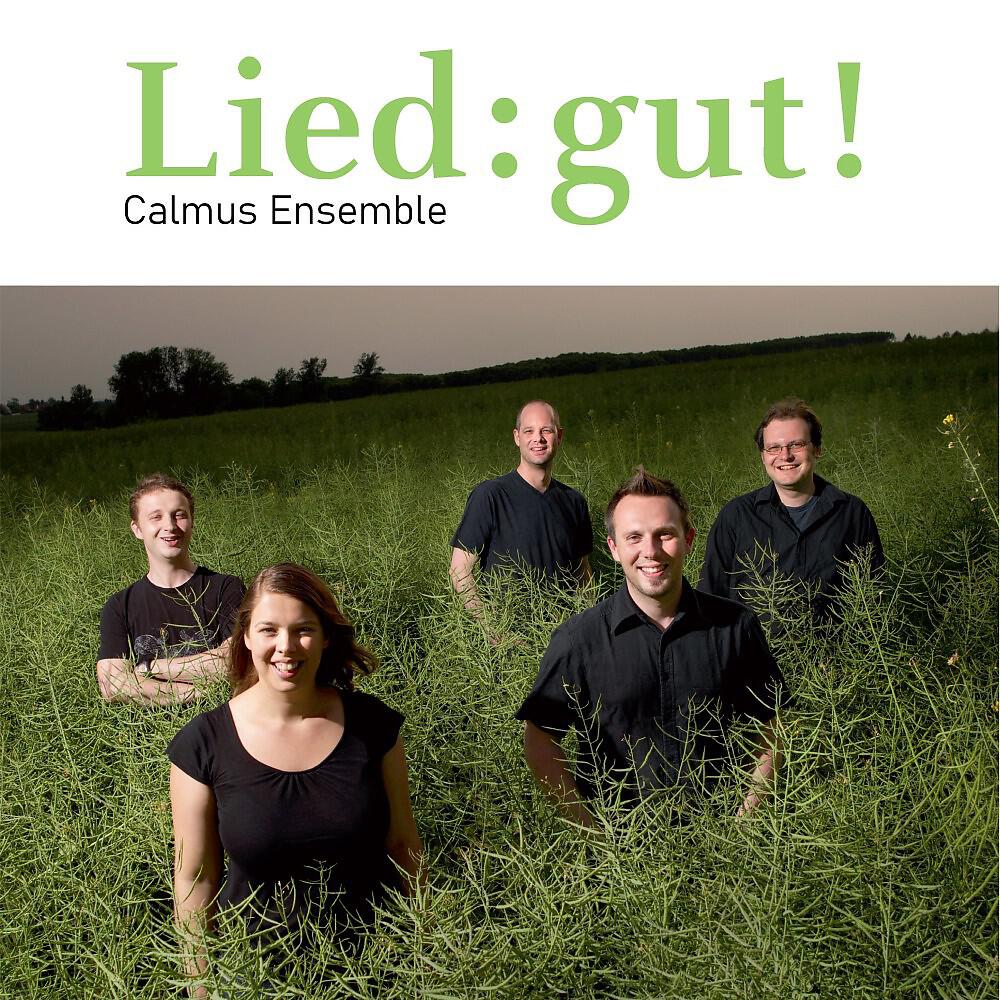 Релиз Lied:gut!