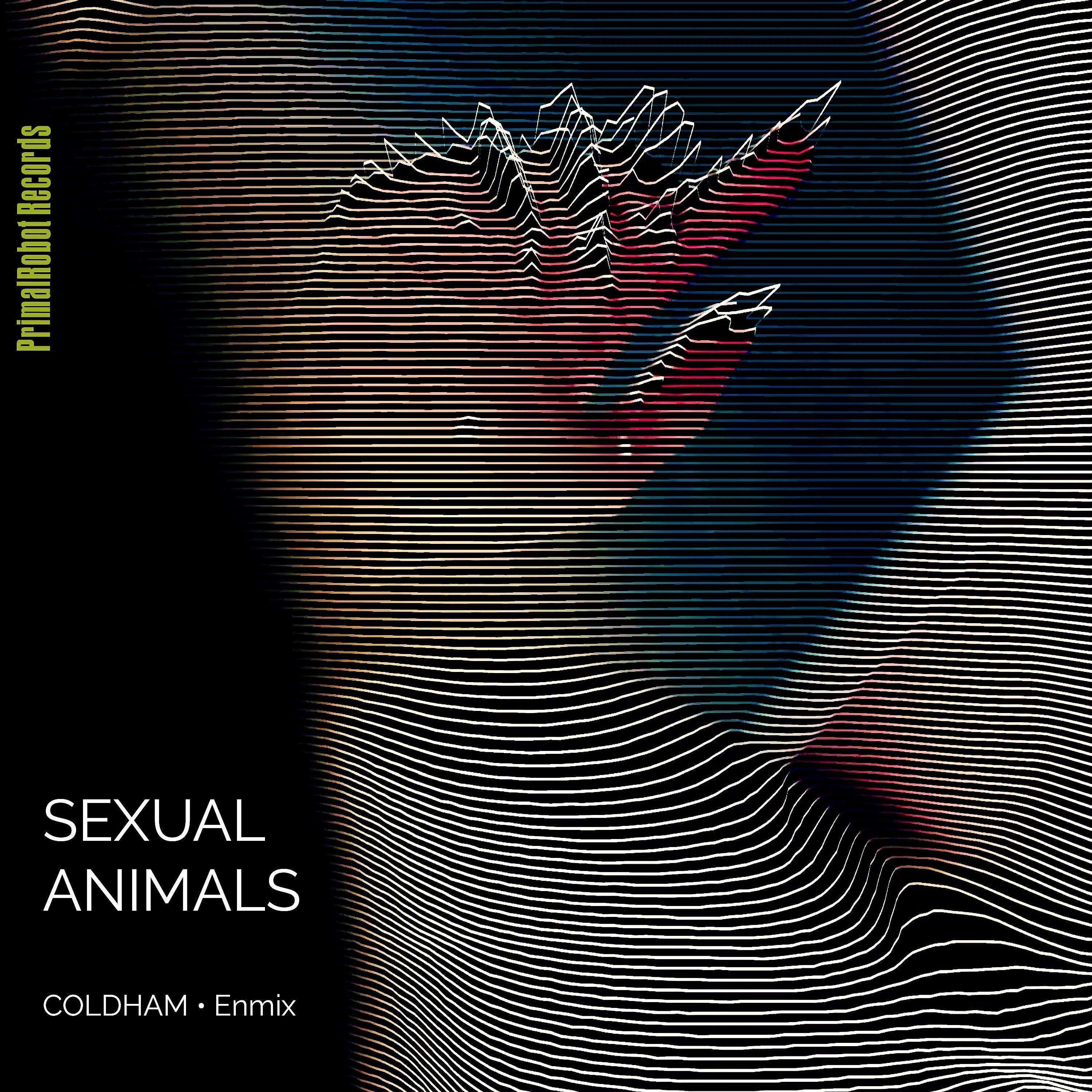 Релиз Sexual Animals